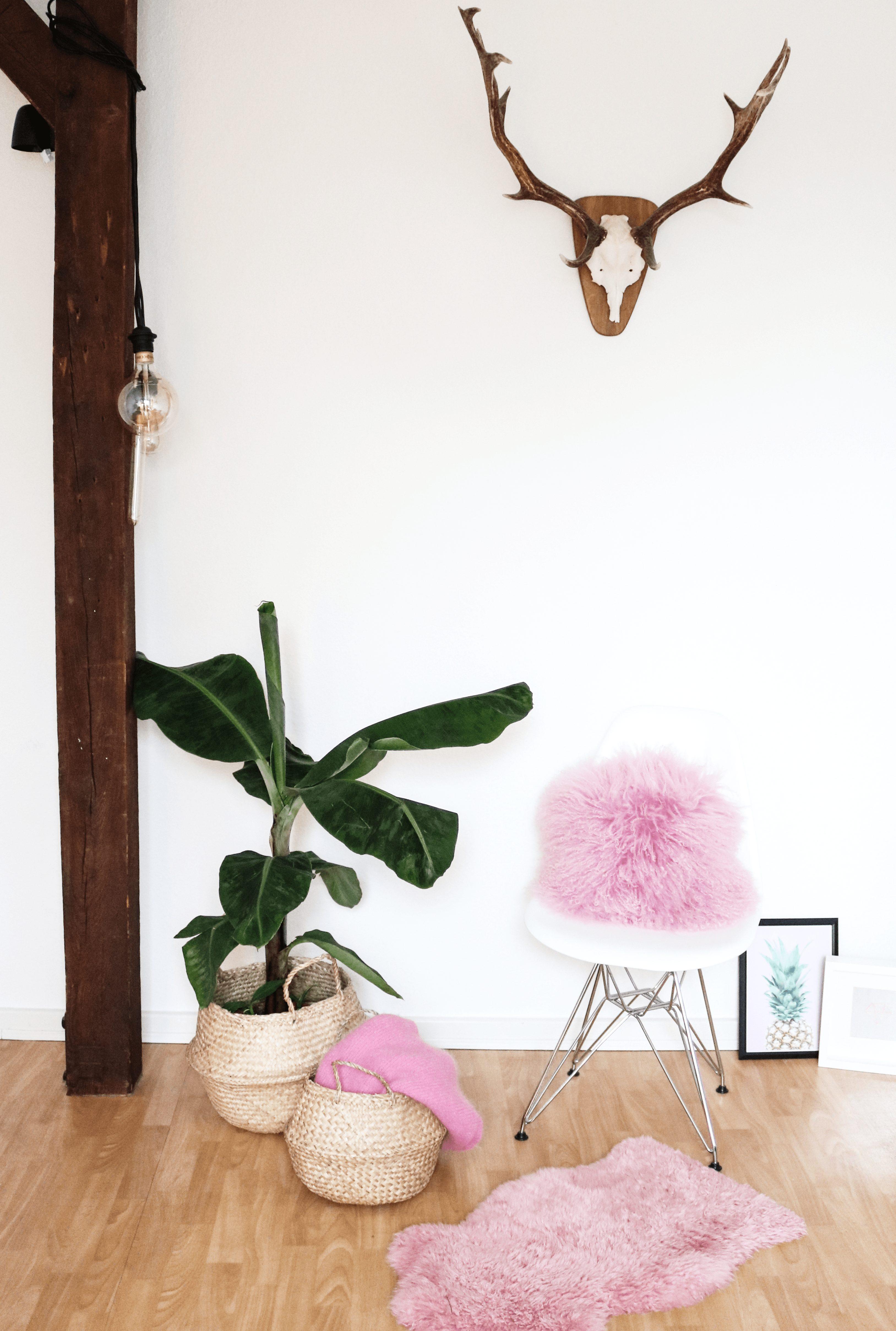 Wir sind ganz entzückt von den #pinken #Farbtupfern in unserer Wohnung. 💖
#couchliebt #skandistyle #wohnzimmer 