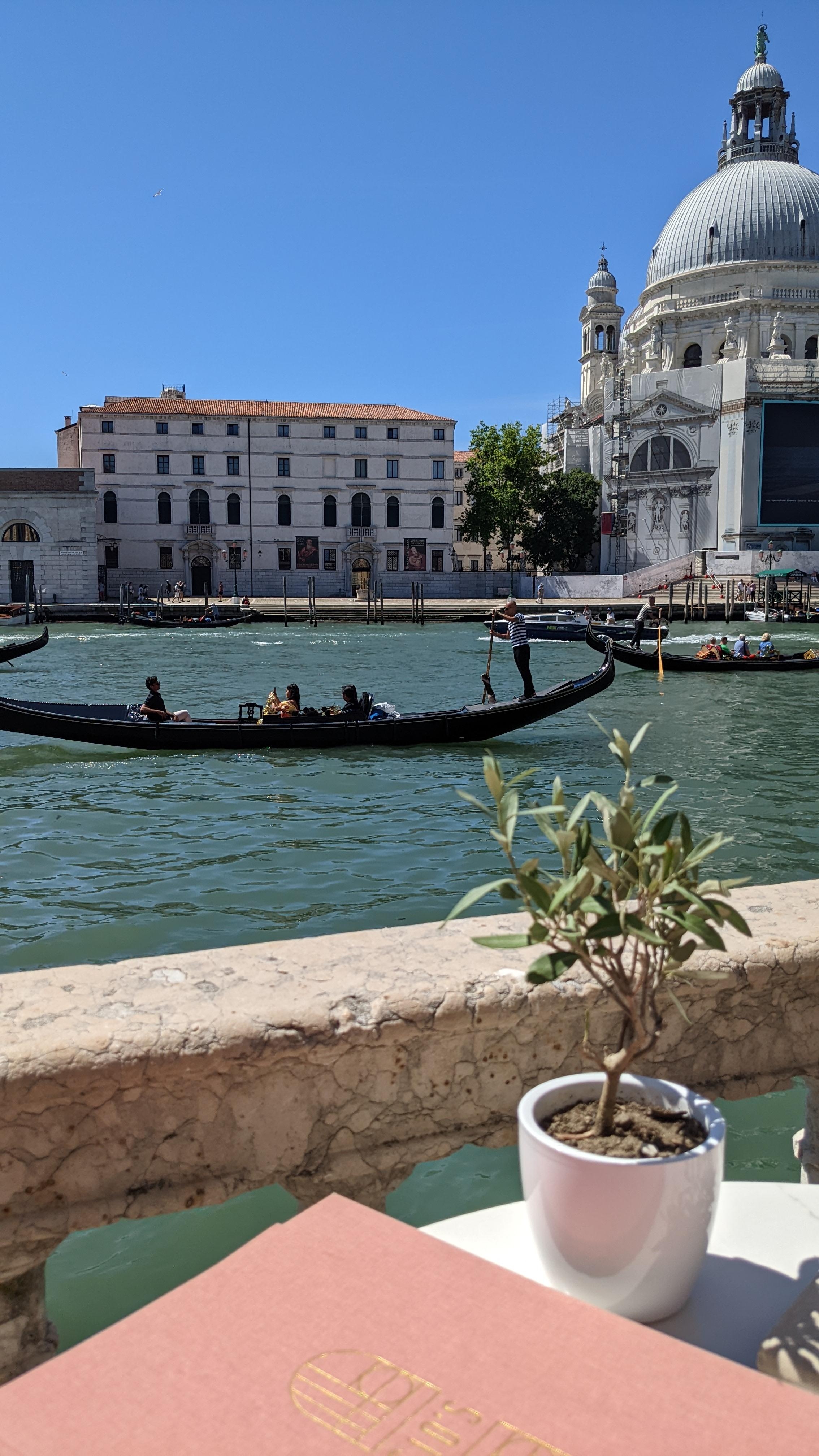 Wir waren vor ein paar Tagen in Venedig. Es war herrlich ☀️
#urlaub #italien