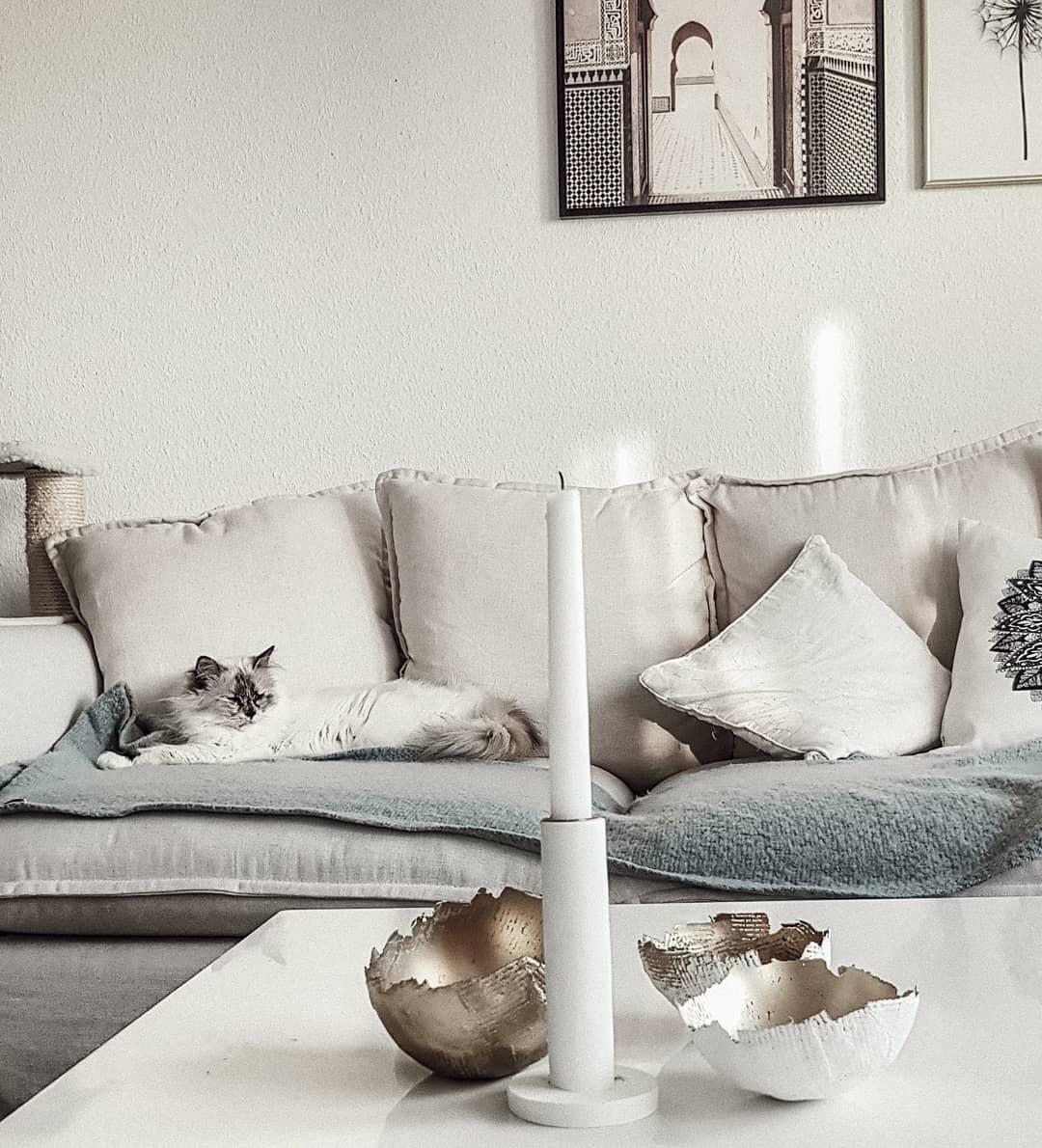 Wir wünschen euch einen schönen Sonntag ☀️ Hier schläft noch alles. Passt auf euch auf. 
#wohnzimmer #homestyle #couch 