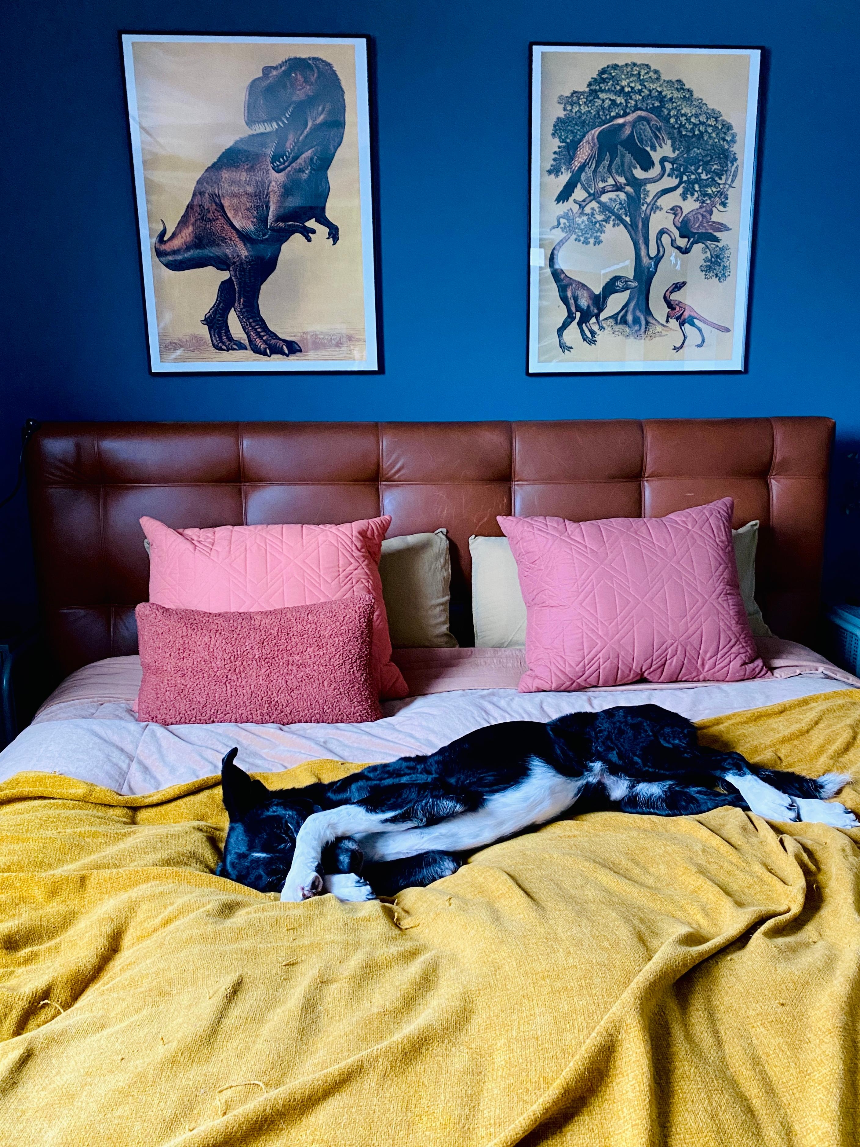 Wochenende :) 
#schlafzimmer #blau #hund 