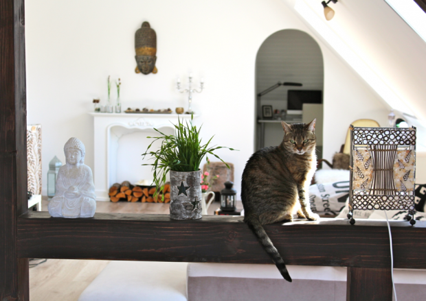 Wohnzimmer + Katze Nr.2;) #homestory