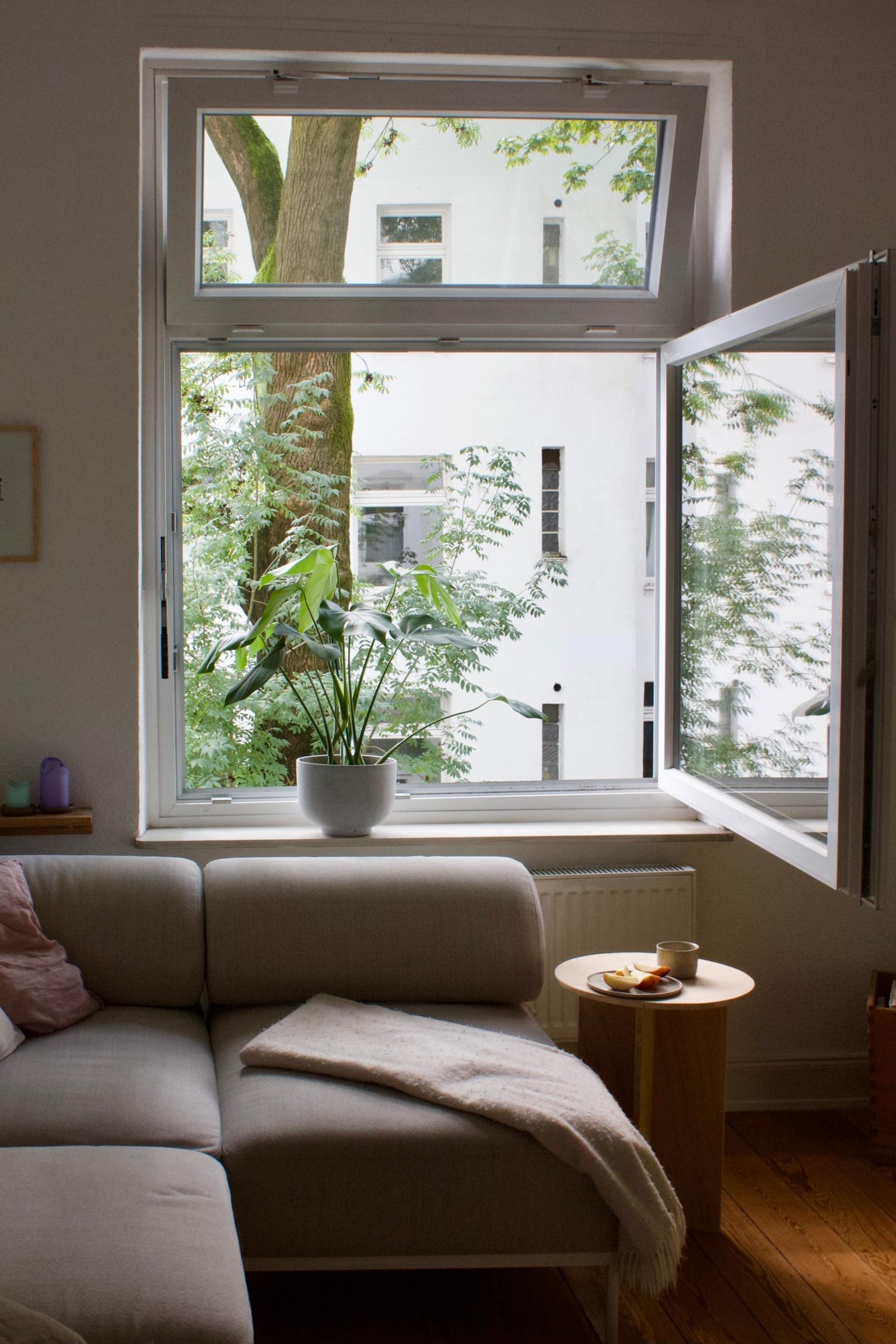 #wohnzimmer #altbau #pflanzen #sofa #beistelltisch #fenster 
