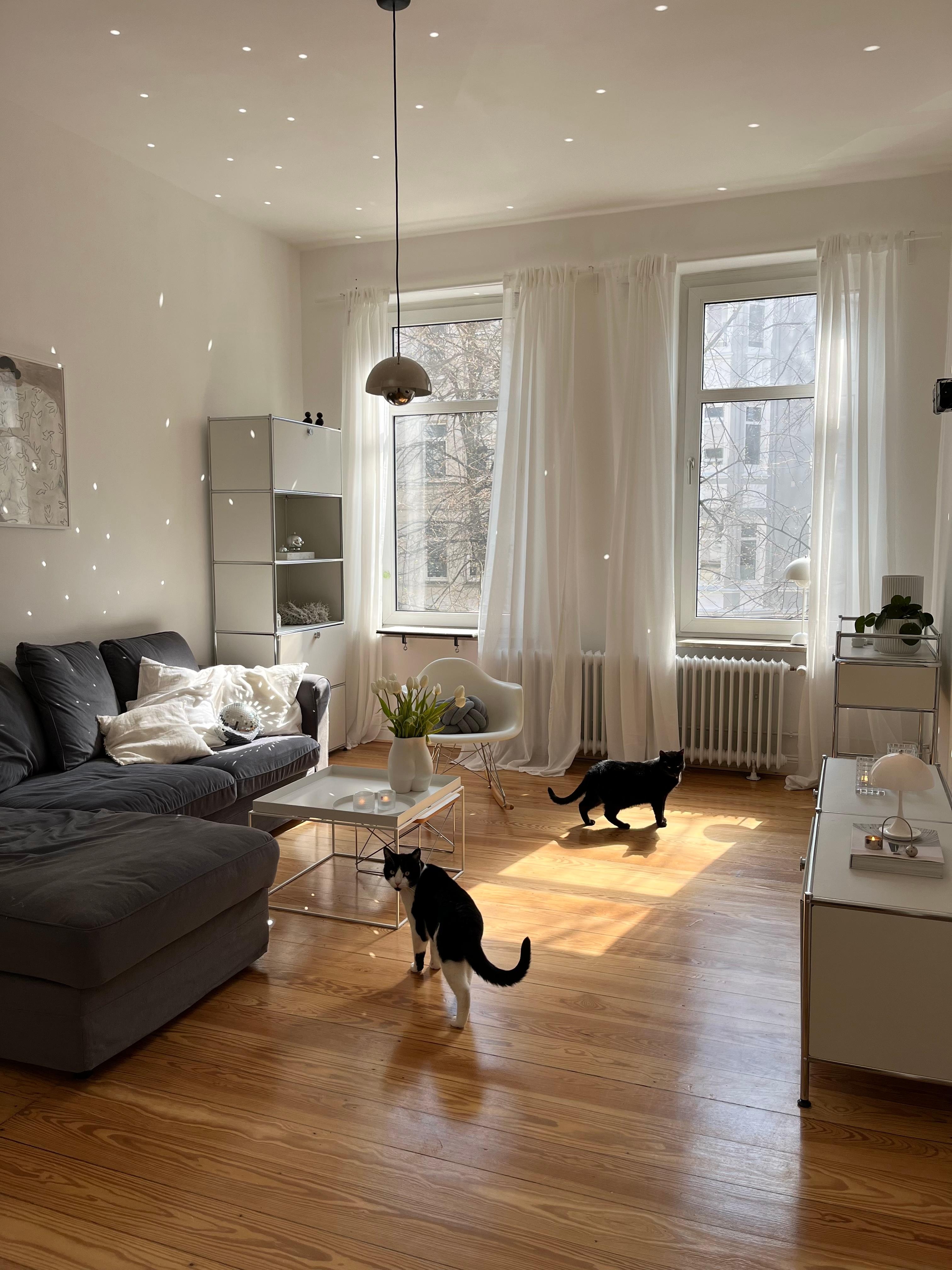 #wohnzimmer #altbauwohnung #discokugel #sonnenlicht #skandinavischwohnen 