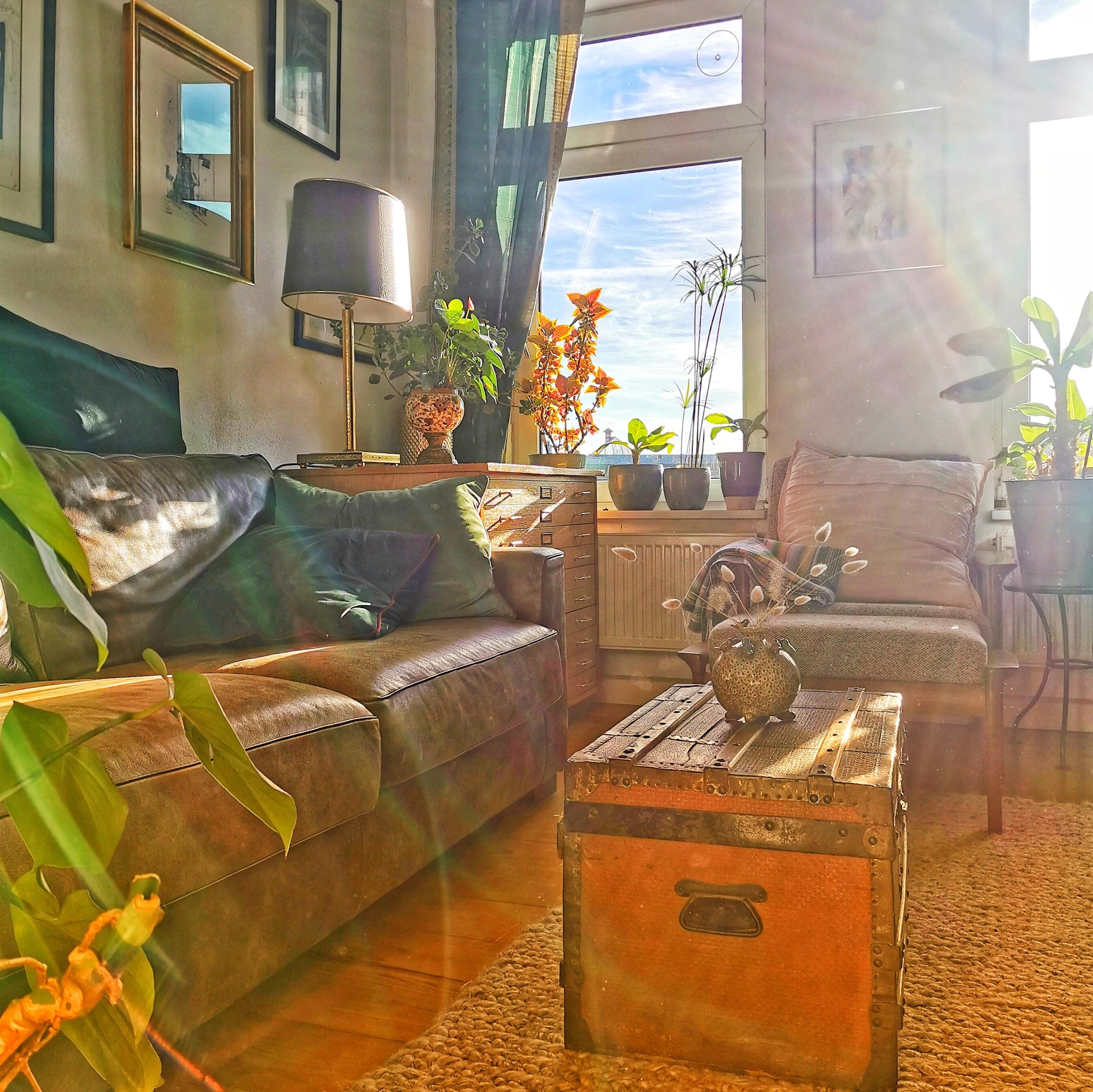 Wohnzimmer

#cheers2green #wohnzimmer #Sonnenlicht #vintagefurniture #vintagehomedecor #vintagedesign 