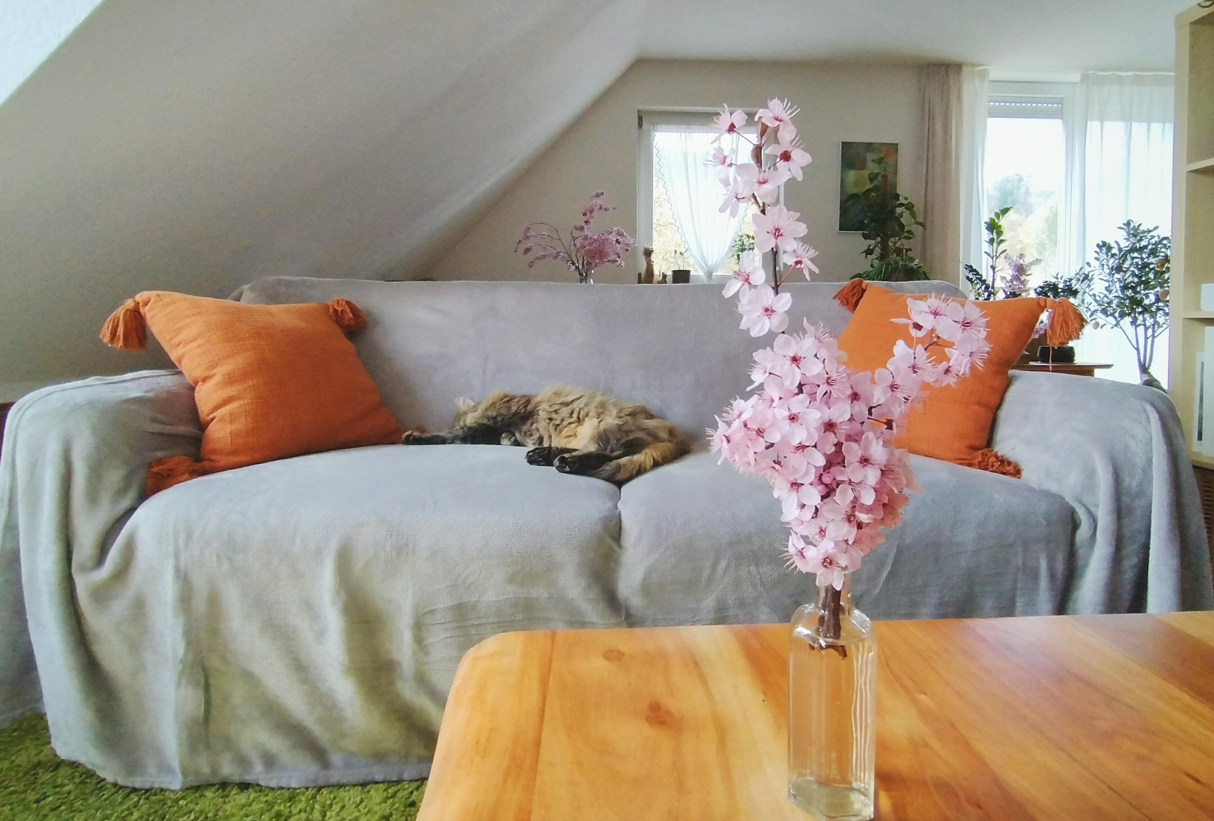 #wohnzimmer #couch #blüten #frischeblumen #kissen #katze #schrägdach #dachschräge