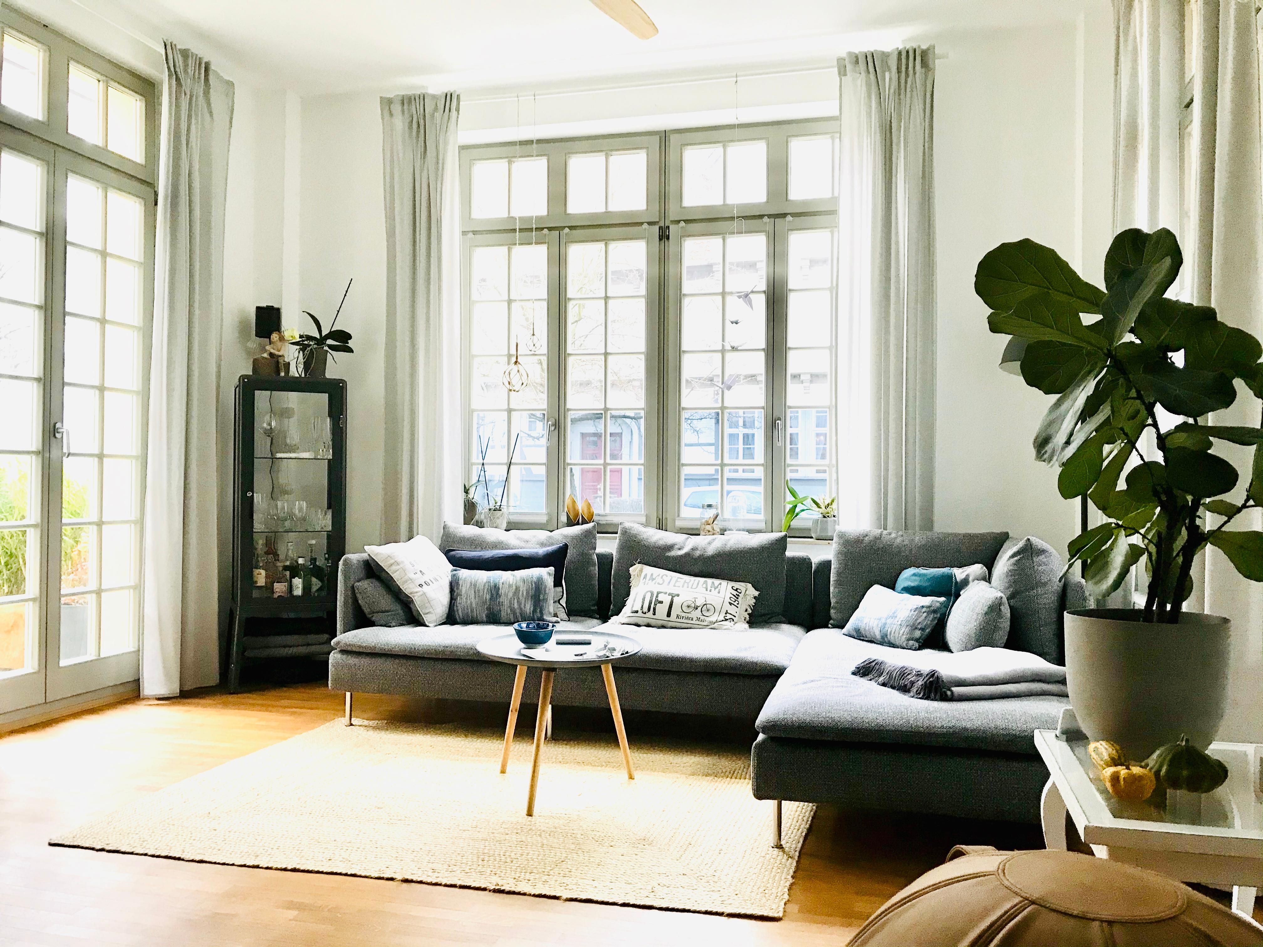 Wohnzimmer #couch #geigenfeige #cozy #windows
