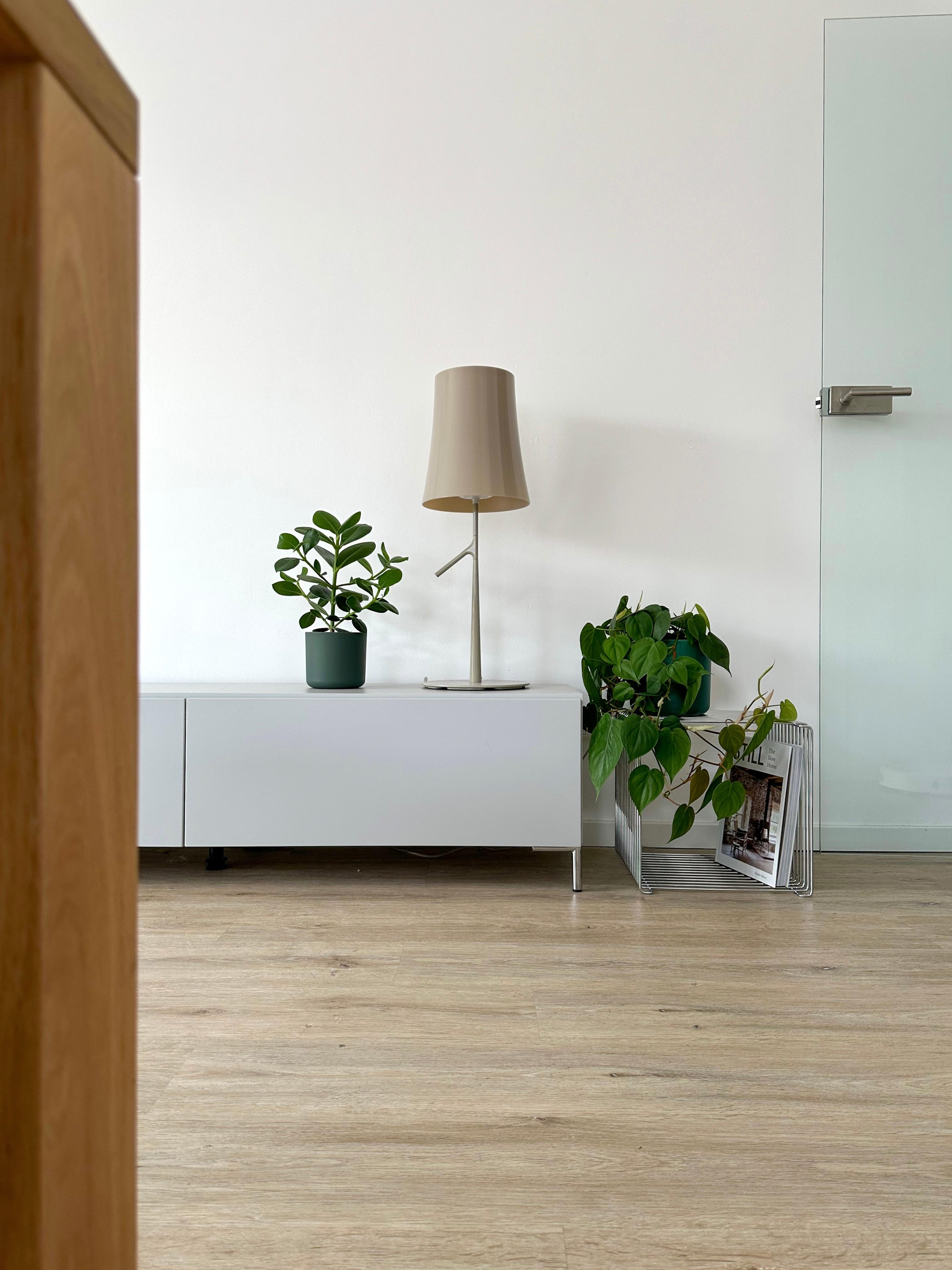 #wohnzimmer #details #lowboard #tvboard #sideboard #regal #dekoideen #pflanzenliebe #minimalistisch #lampe #bücherregal