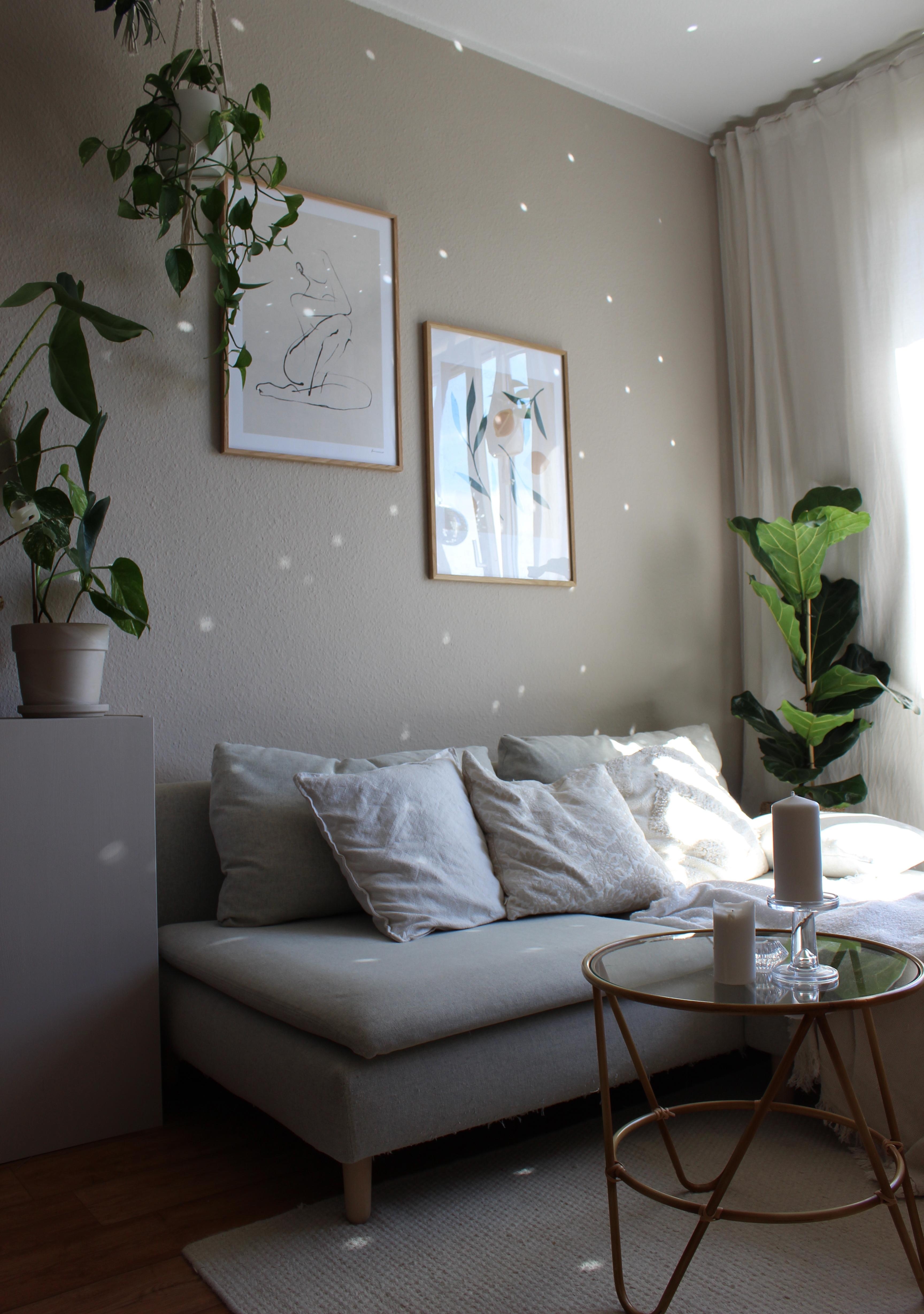#wohnzimmer #discokugel #wandfarbe #beige #sofa #sonne #pflanzen