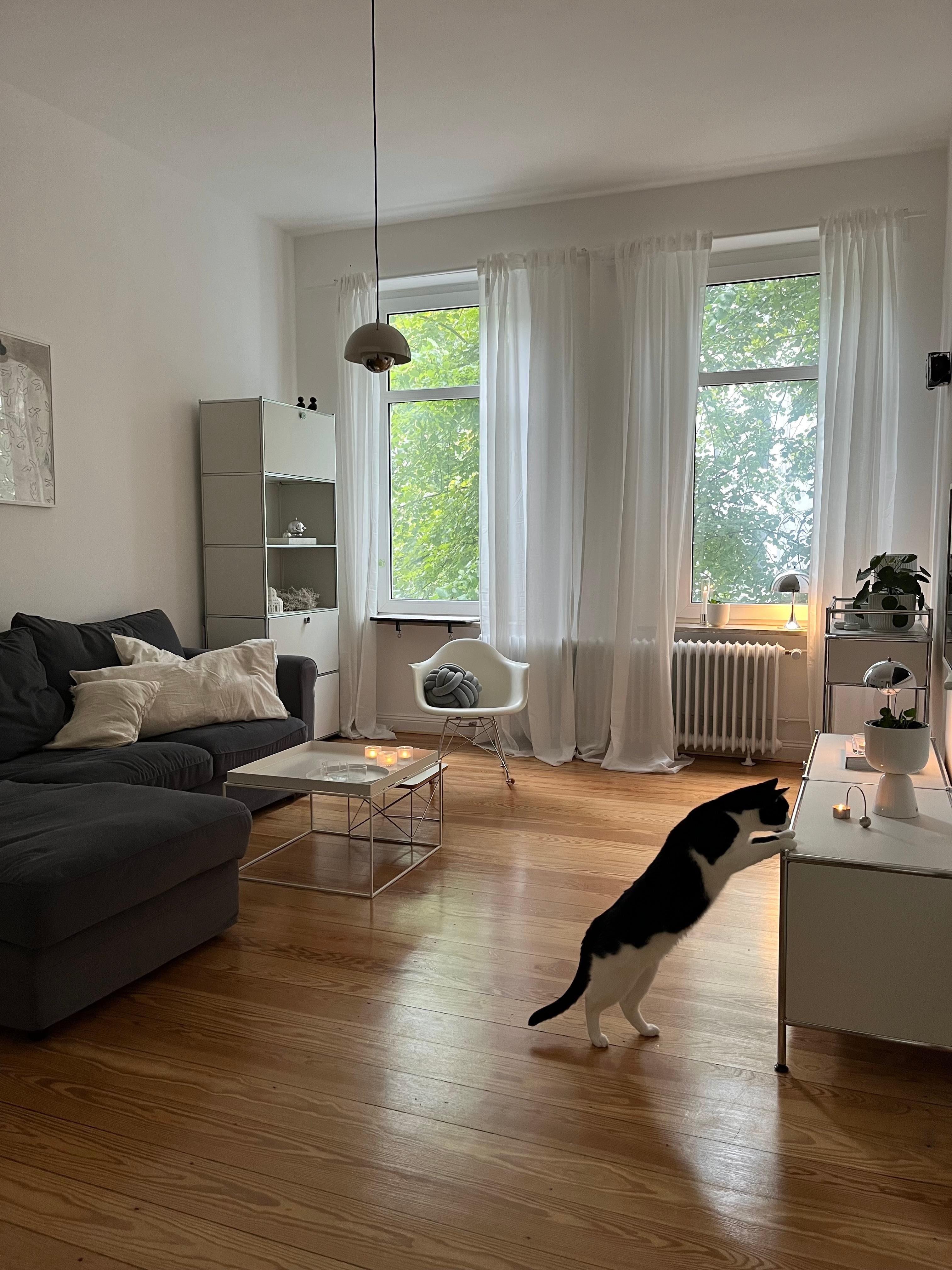 #wohnzimmer #katzenwohnung #altbauliebe #skandinavischwohnen #interior #minimalismus #danishdesign