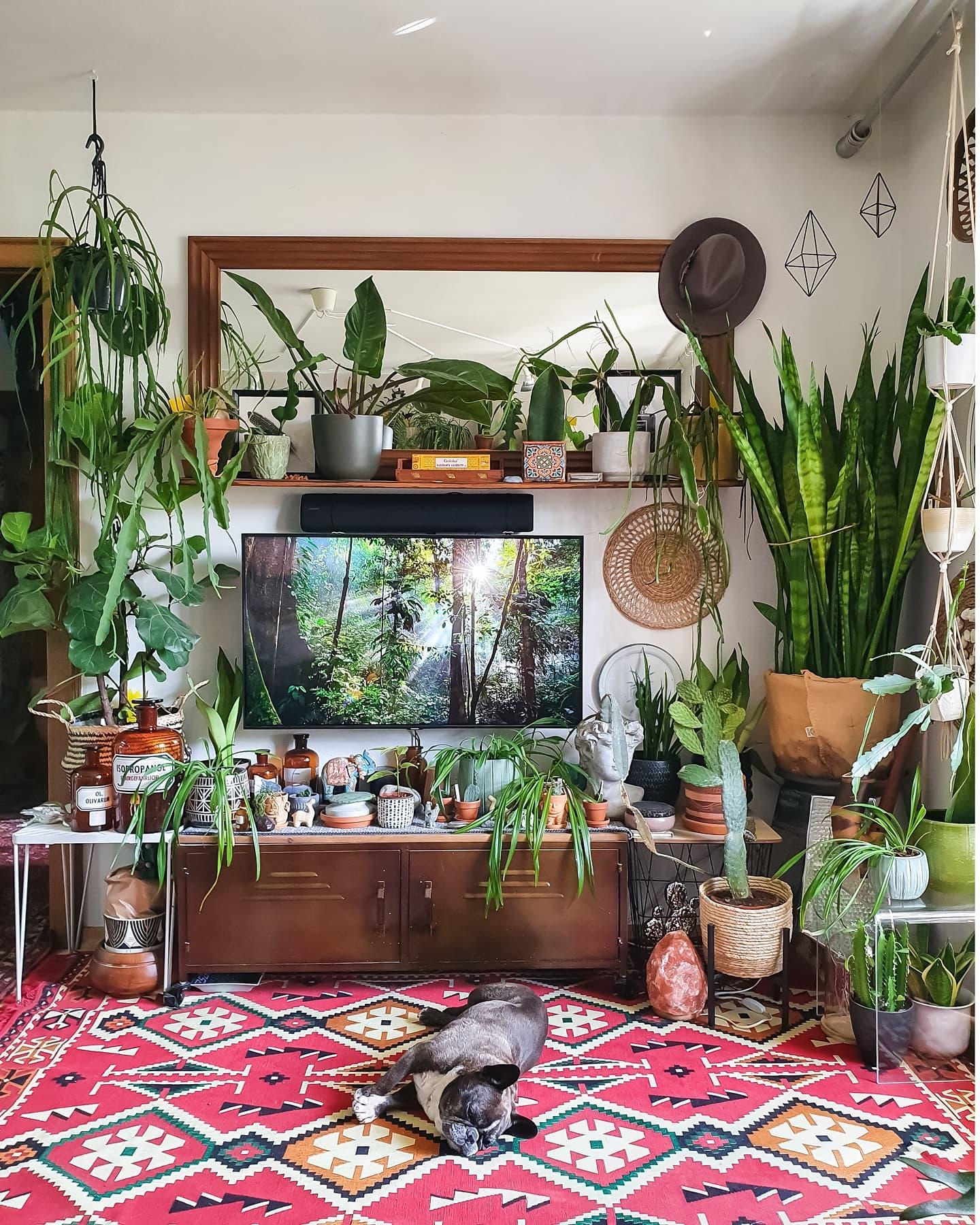 #Wohnzimmer #Kommode #Pflanzen #lowboard #sideboard #urbanjungle 