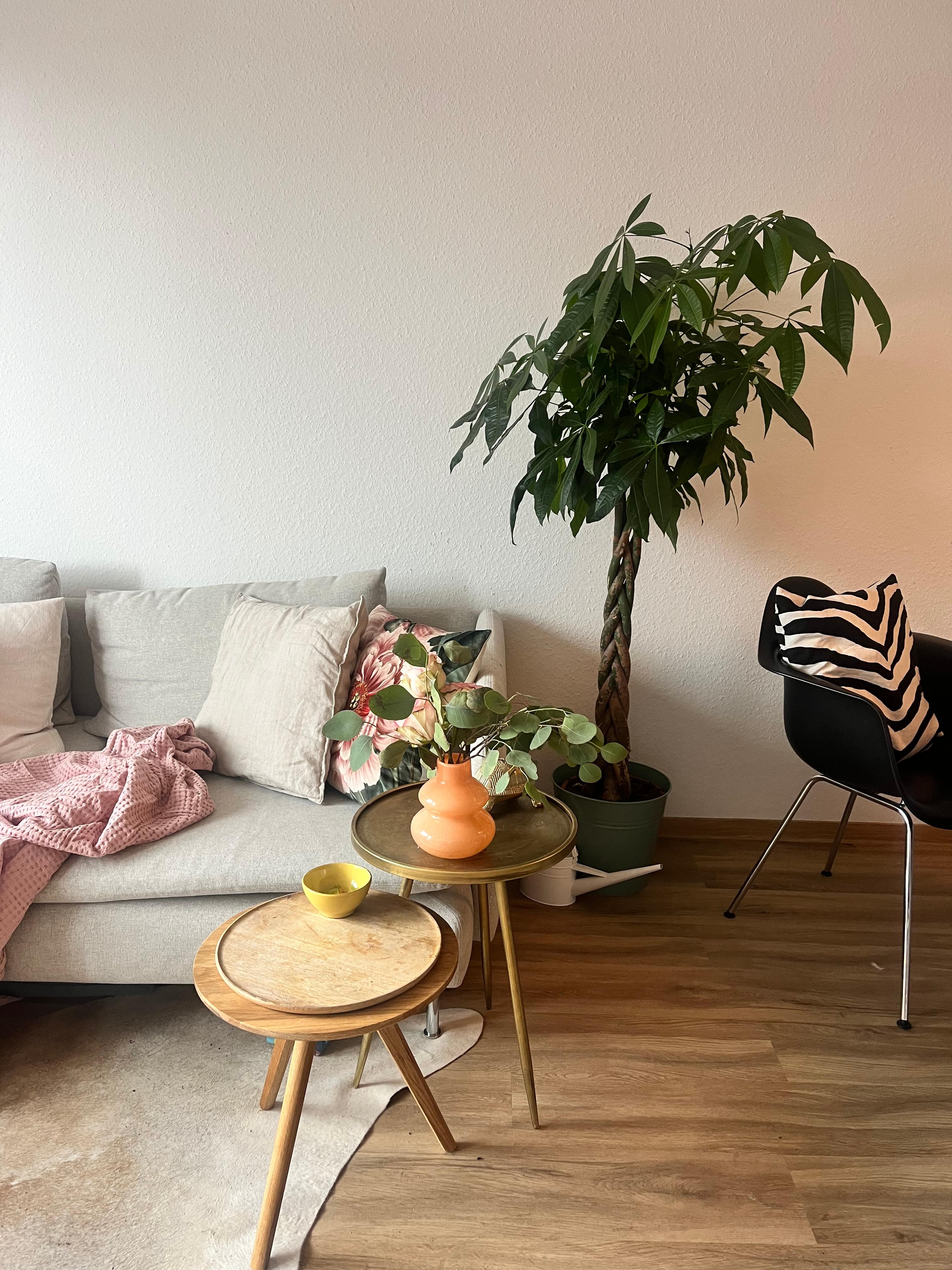 Wohnzimmer #livingchallange #zimmerpflanzen #couch #beistelltische 