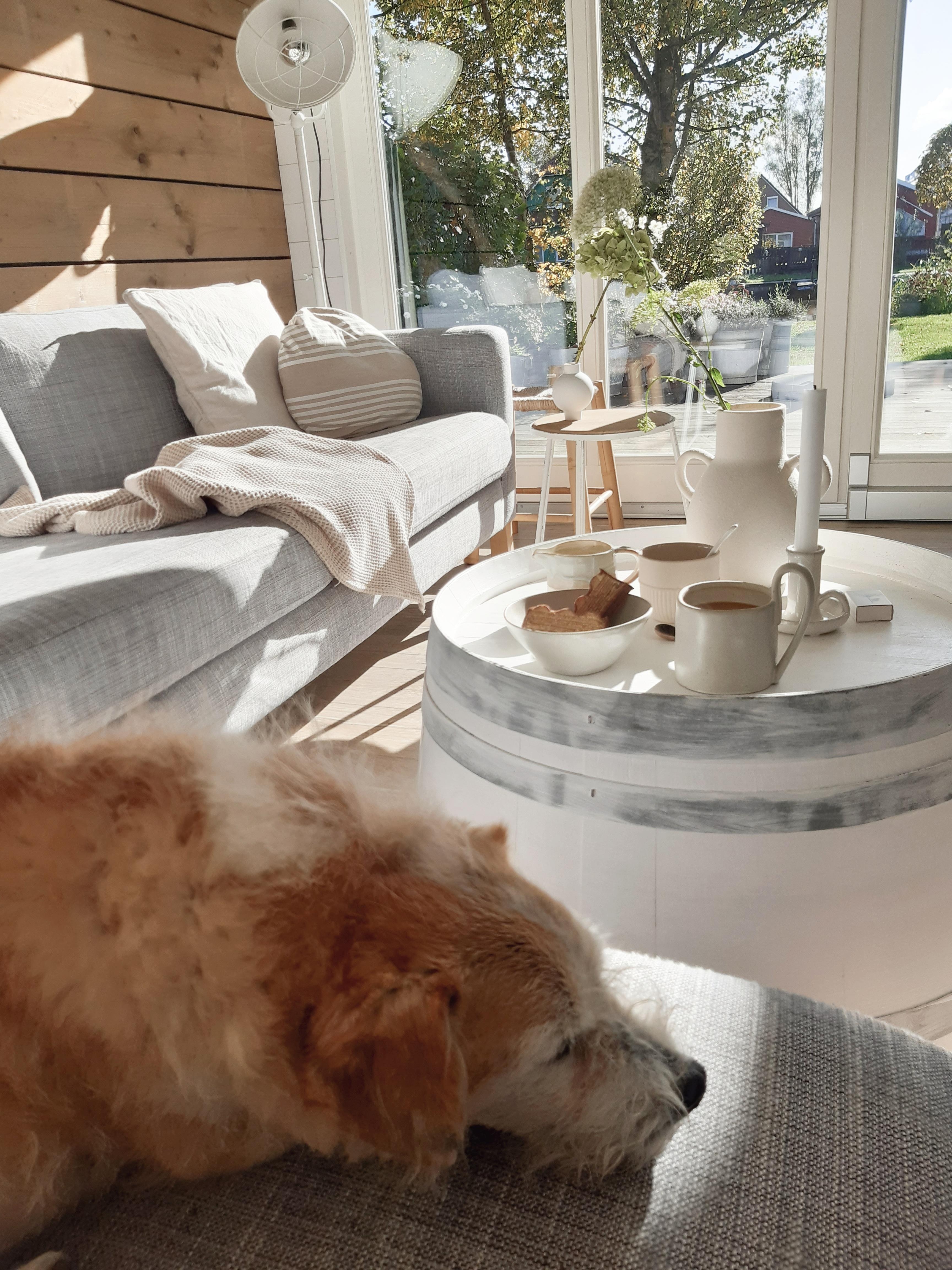 #wohnzimmer #livingchallenge #couchstyle #interior #haustier #skandinavischwohnen 
