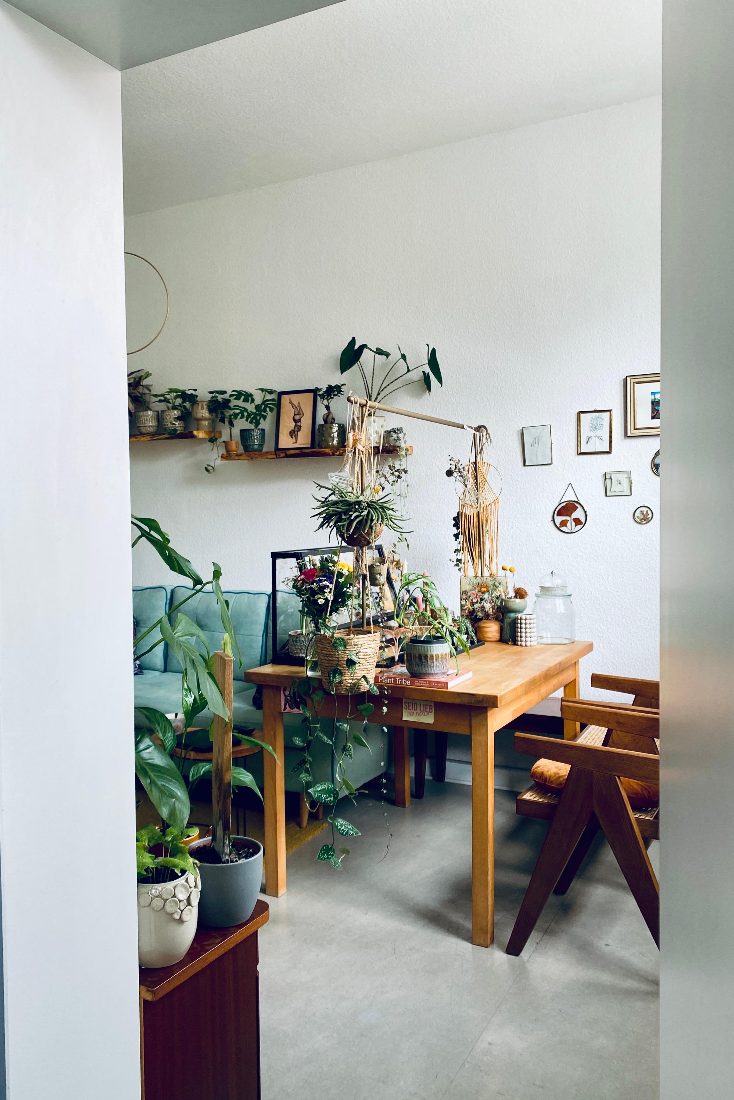 #wohnzimmer #livingchallenge #Couchstyle #plants #liebs #junglefeeling 