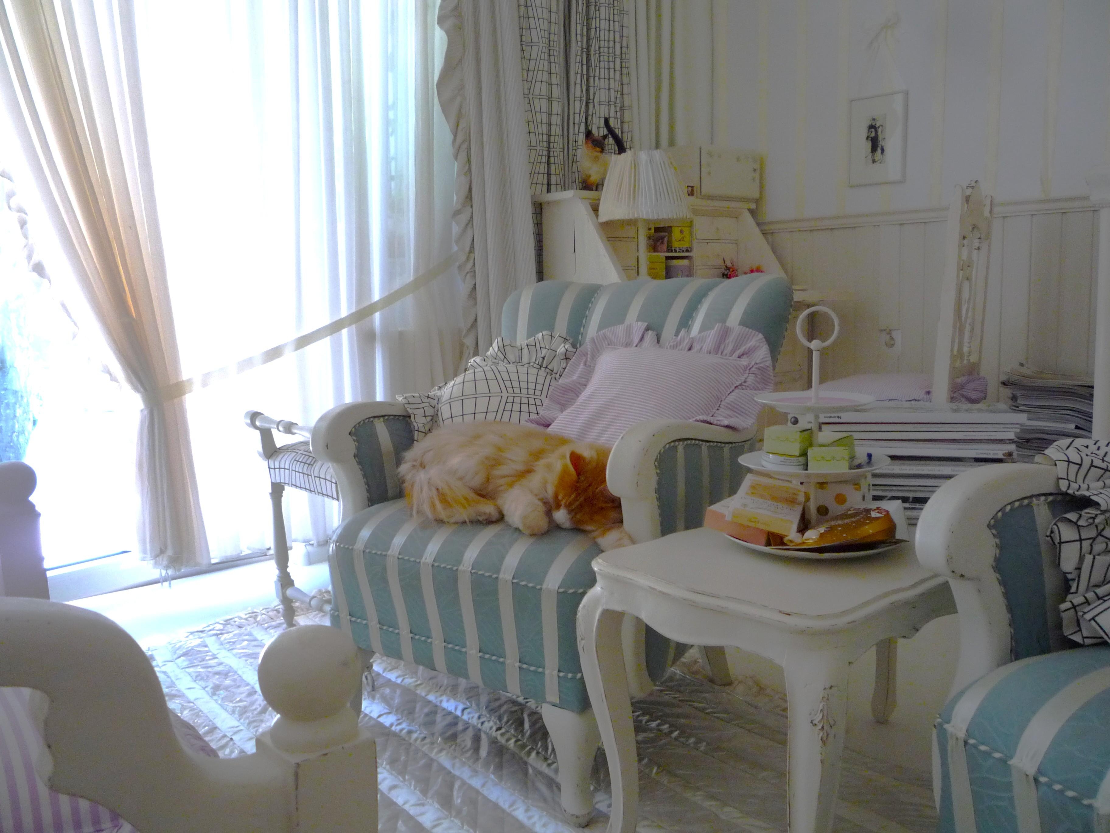 

#wohnzimmer #livingchallenge
#katze #pastell #streifen 