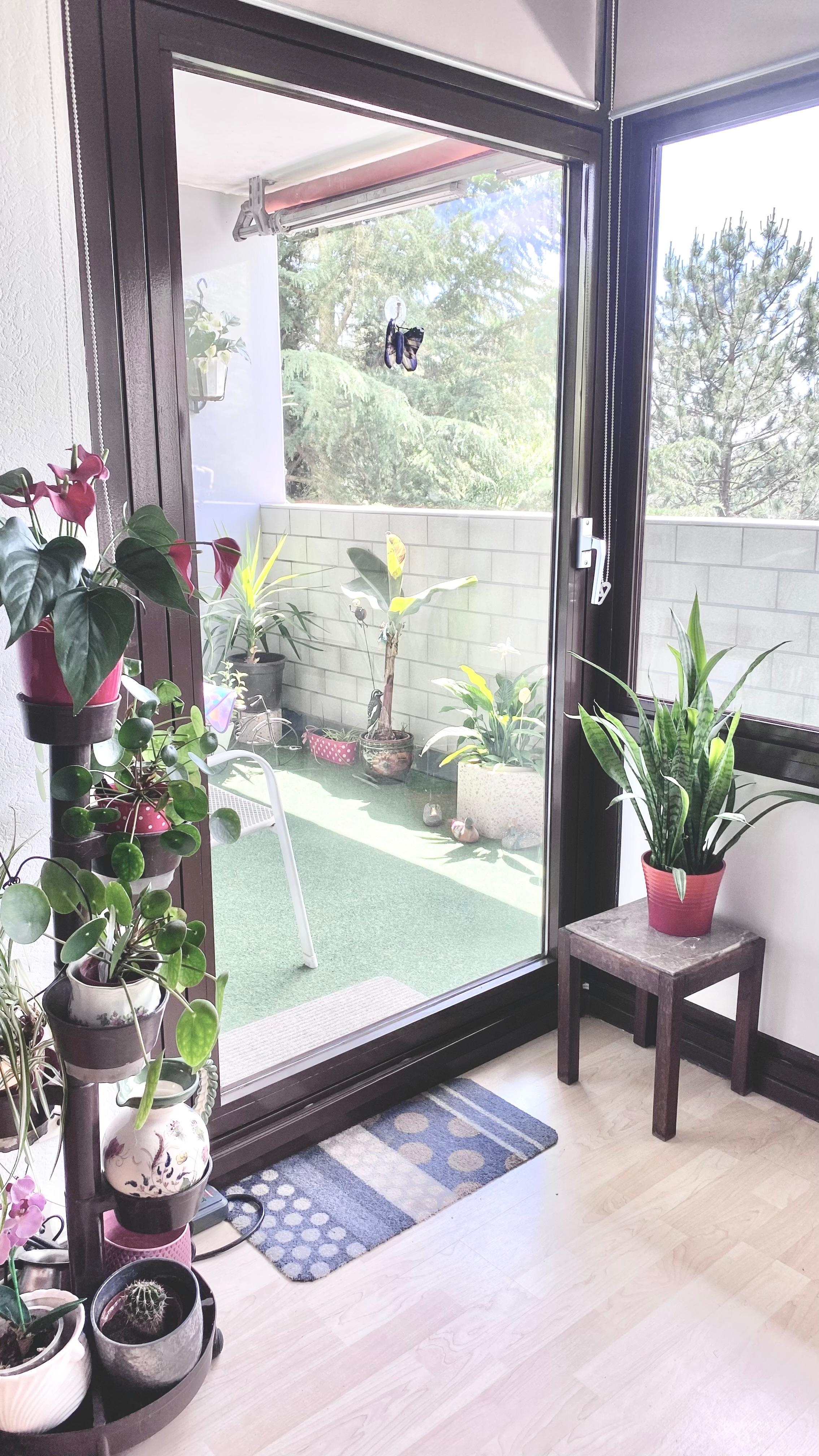 WOHNZIMMER
#livingchallenge #wohnzimmer 
Blick zum Balkon 😃 #pflanzenliebe
