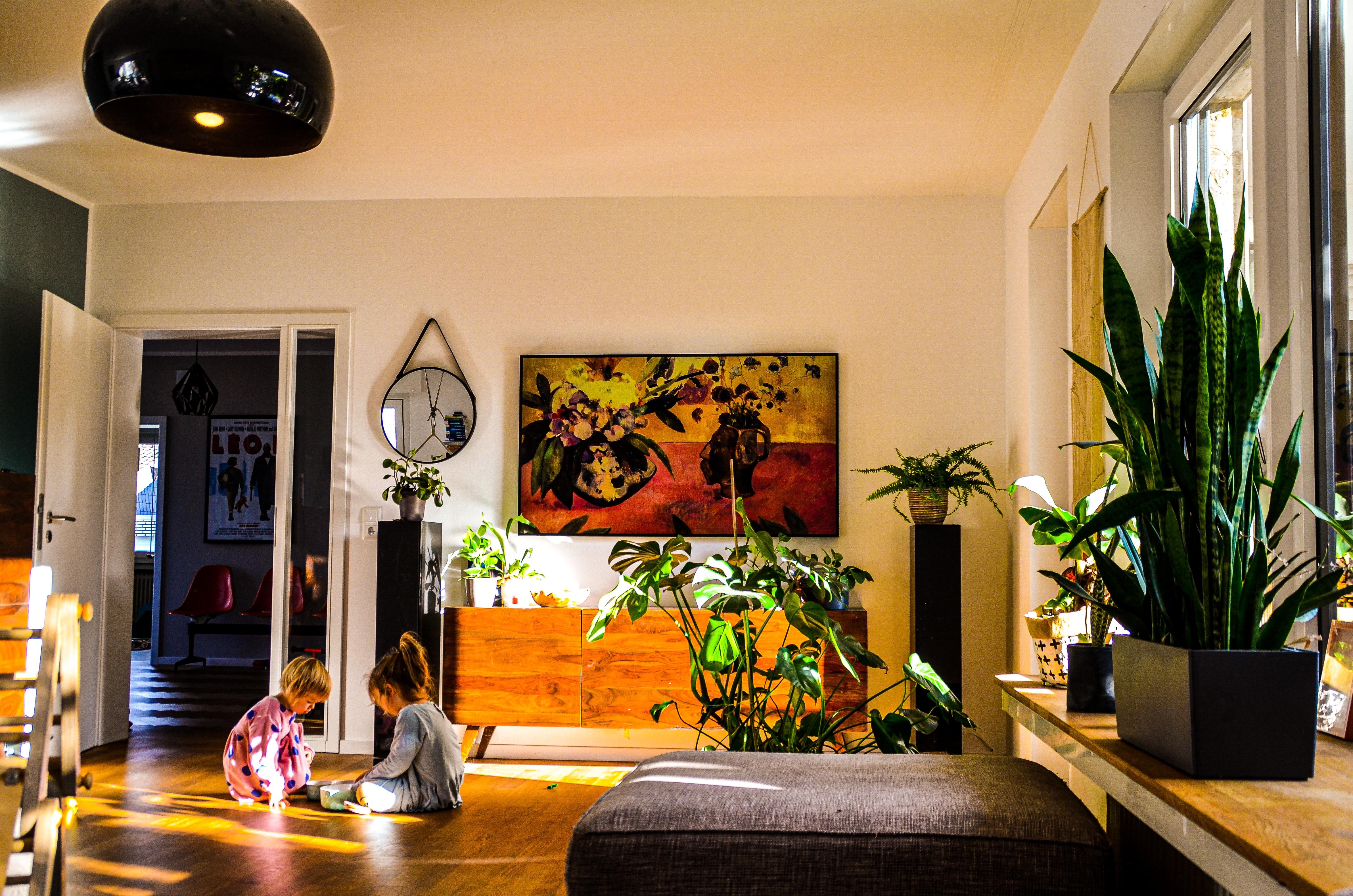 #wohnzimmer #livingroom #green #pflanzenliebe #sunisout
