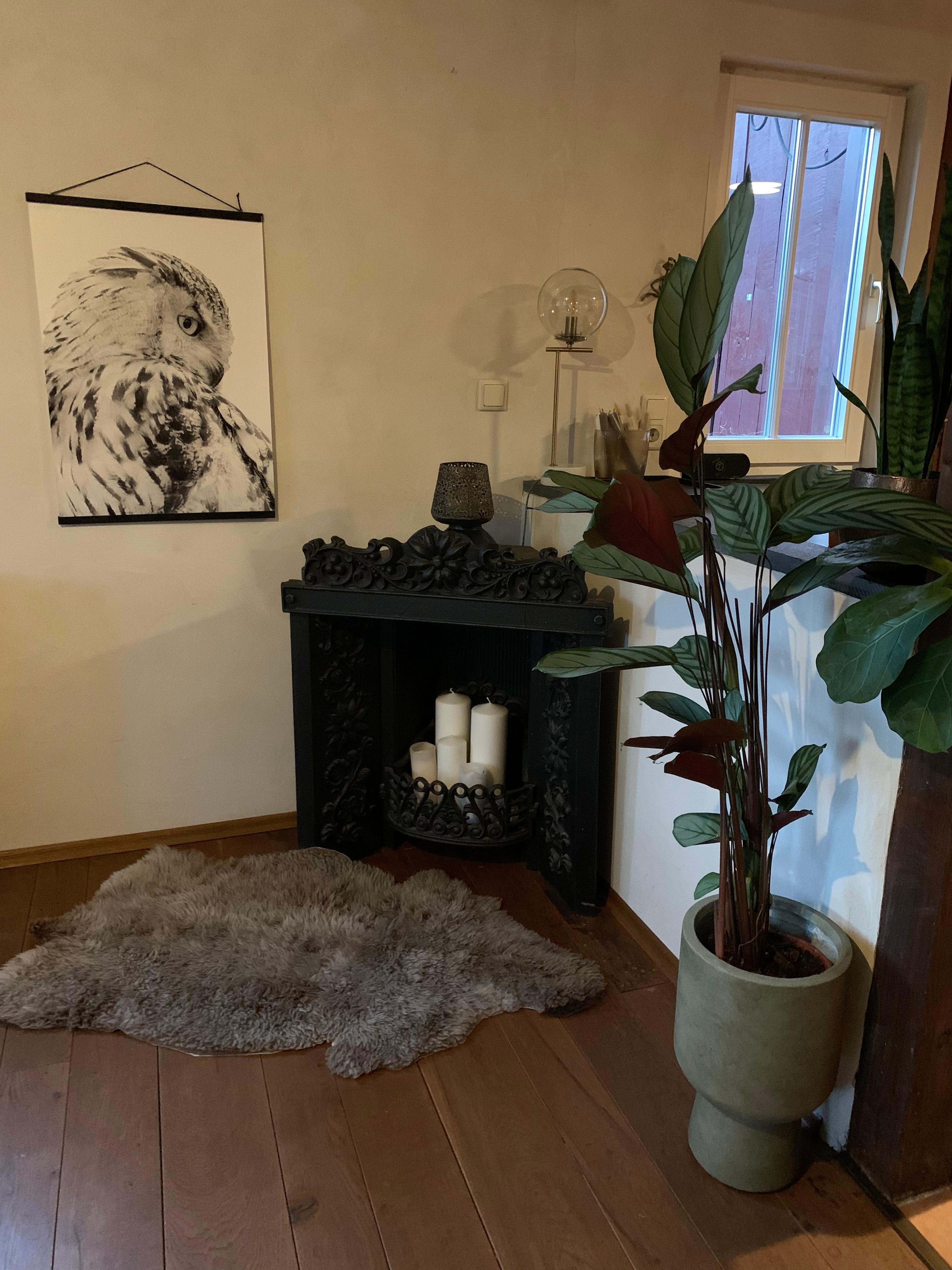 Wohnzimmer mit Pflanzen und Winterlichem Bild 