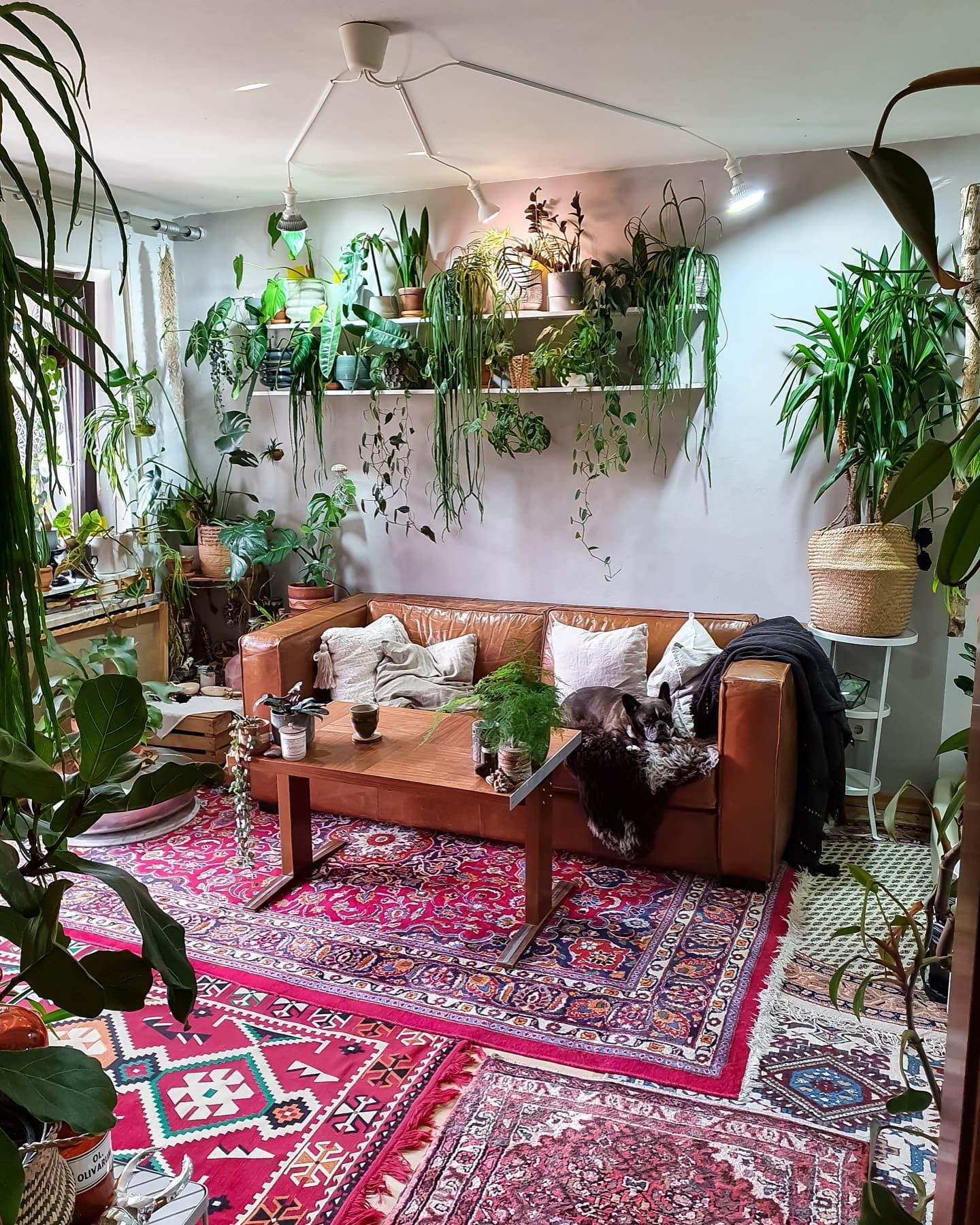 #Wohnzimmer #Pflanzen #Teppich #hygge #urbanjungle #Couch #Sofa #couchstyle #ledersofa #ledercouch