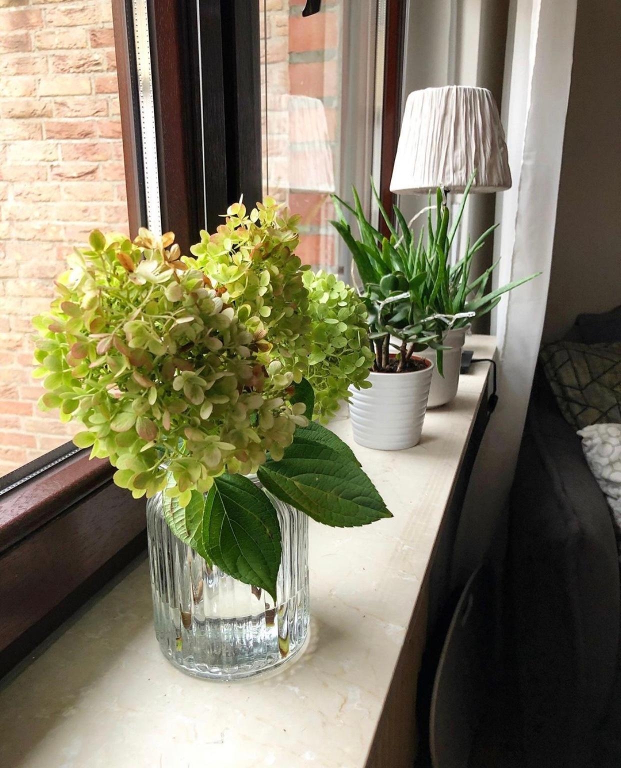 #wohnzimmer #pflanzen #vase