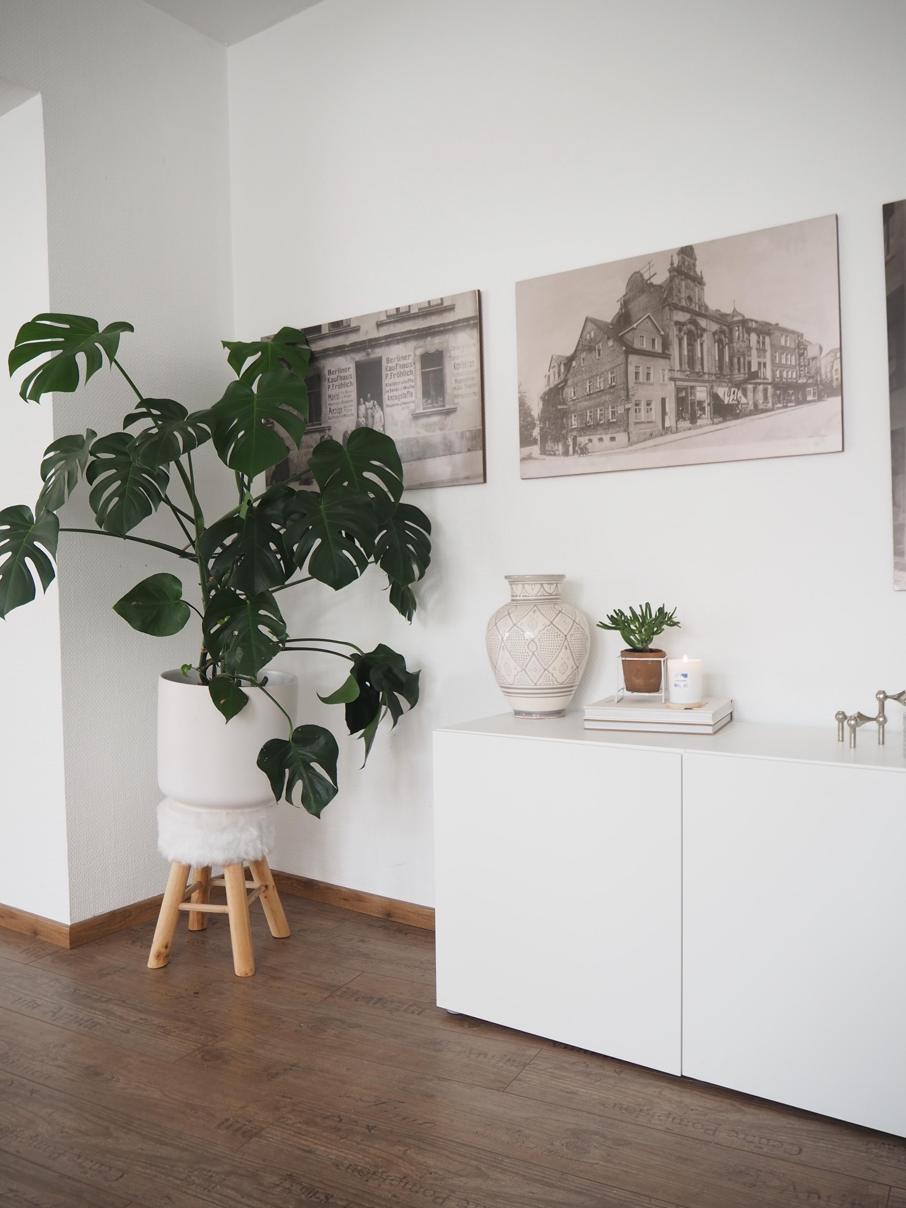 #wohnzimmer #pflanzenliebe #whiteliving #tinekhome #stoffnagel #ikeabesta #regal #aufbewahrung