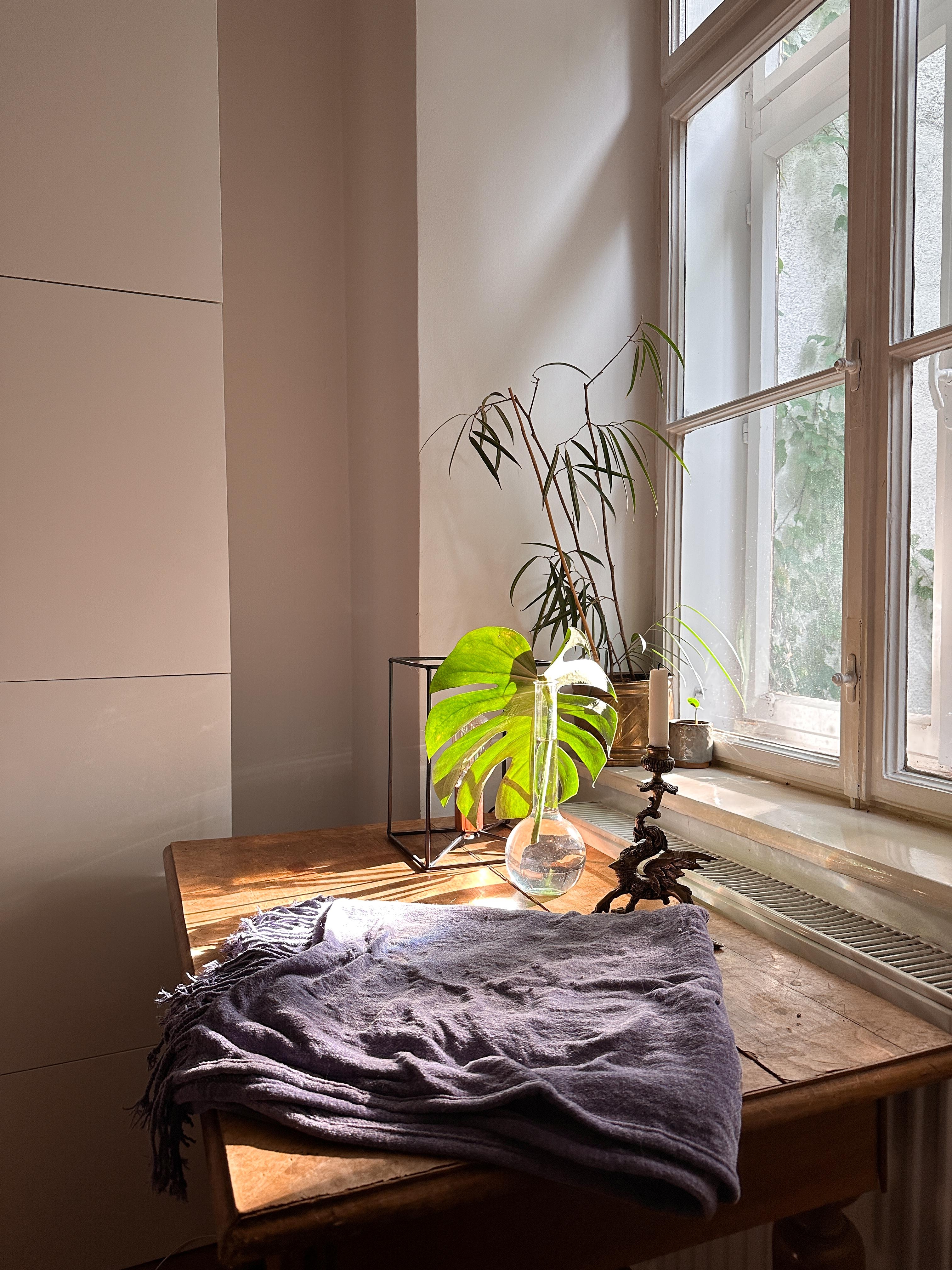 Wohnzimmer Schnappschuss 📷

#Altbau #Kastenfenster #sonne #licht #kerzenständer #vase #deko