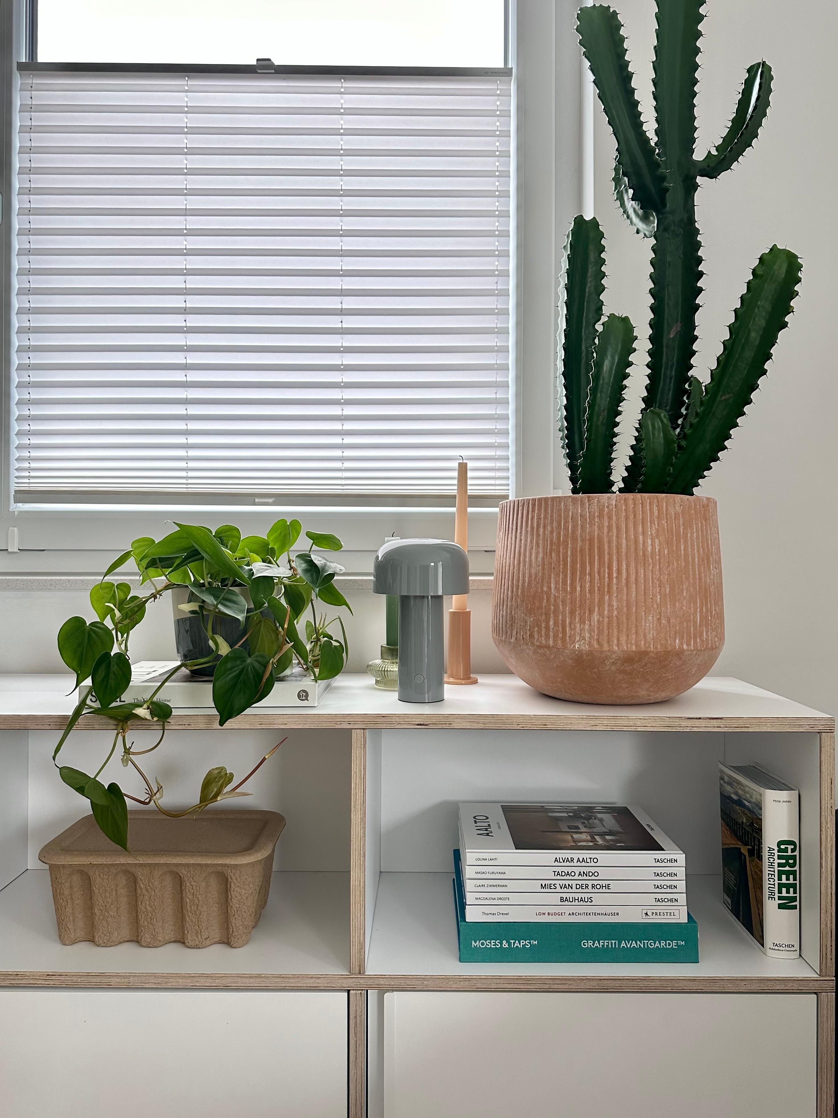 #wohnzimmer #sideboard #dekoideen #übertopf #terrakotta #kaktus #fermliving #wohnzimmerdeko #floslampe #hängepflanzen