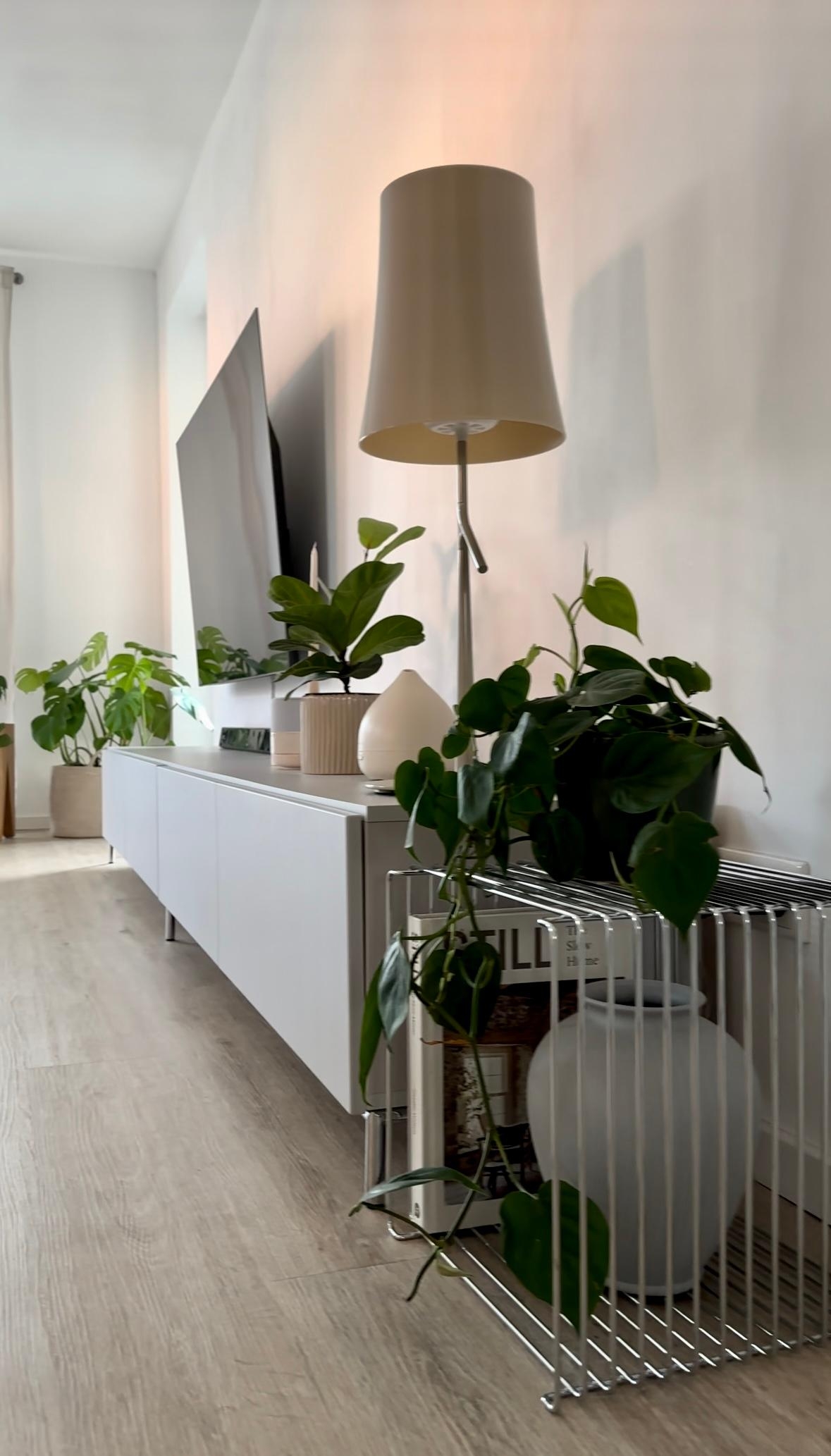#wohnzimmer #sideboard #lowboard #stehlampe #dekoideen #tvboard #pflanzen #pflanzenliebe #couchliebt