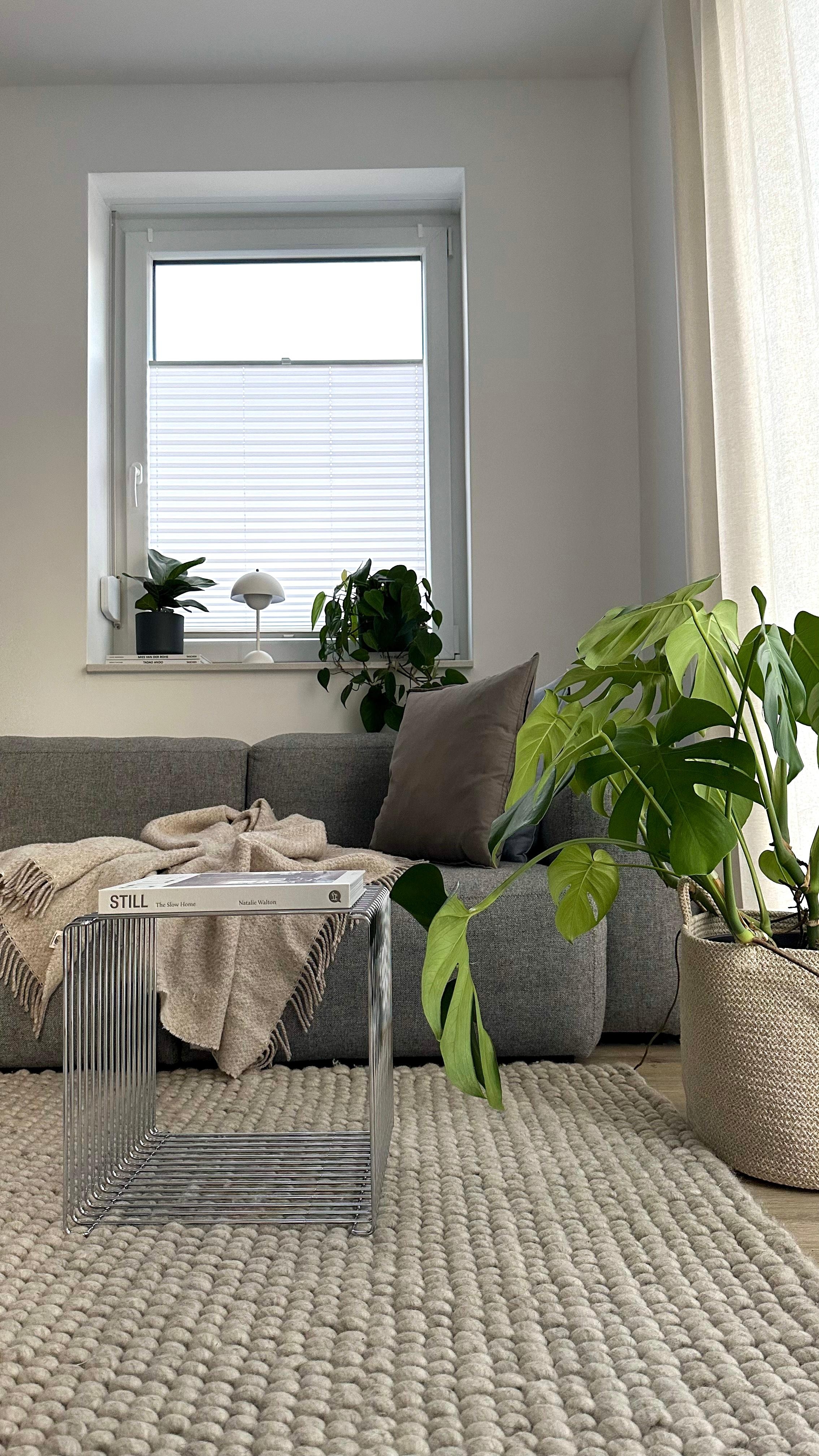 #wohnzimmer #sofa #couch #couchliebt #sofaecke #grauessofa #couchtisch #dekoideen #pflanzen #pflanzenliebe 🌿