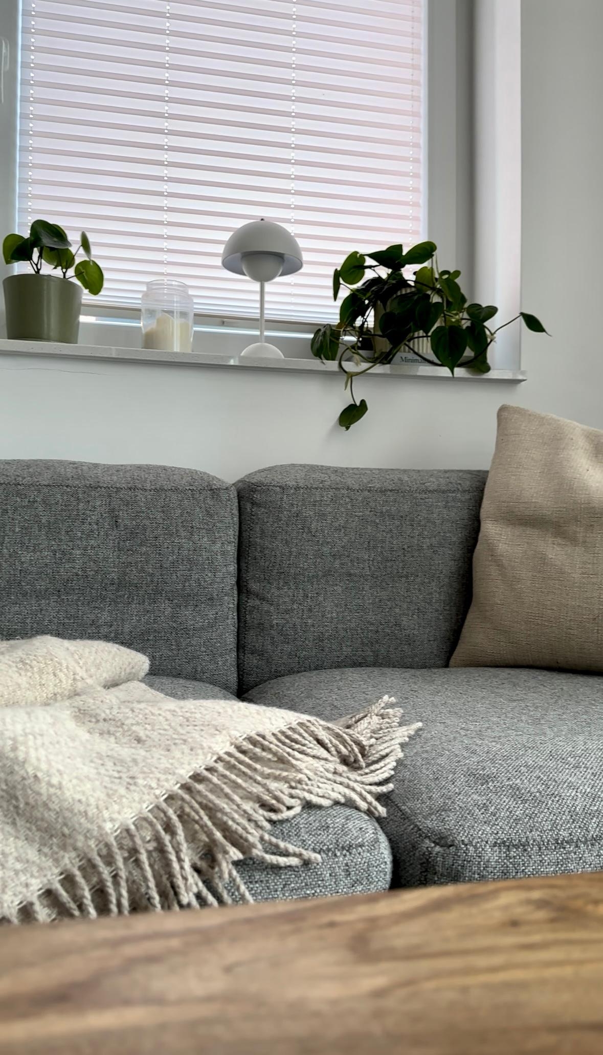 #wohnzimmer #sofa #couch #couchliebt #wolldecke #kissen #fensterbank #dekoideen #pflanzen #pflanzenliebe #lampe