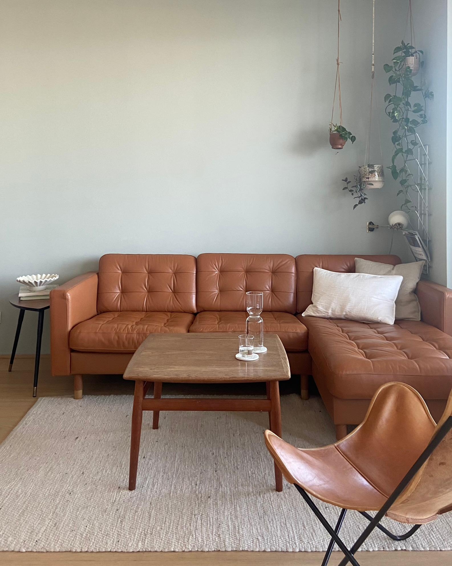 #wohnzimmer #sofa #couch #leder #wandfarbe #blumenampel #pflanzen 