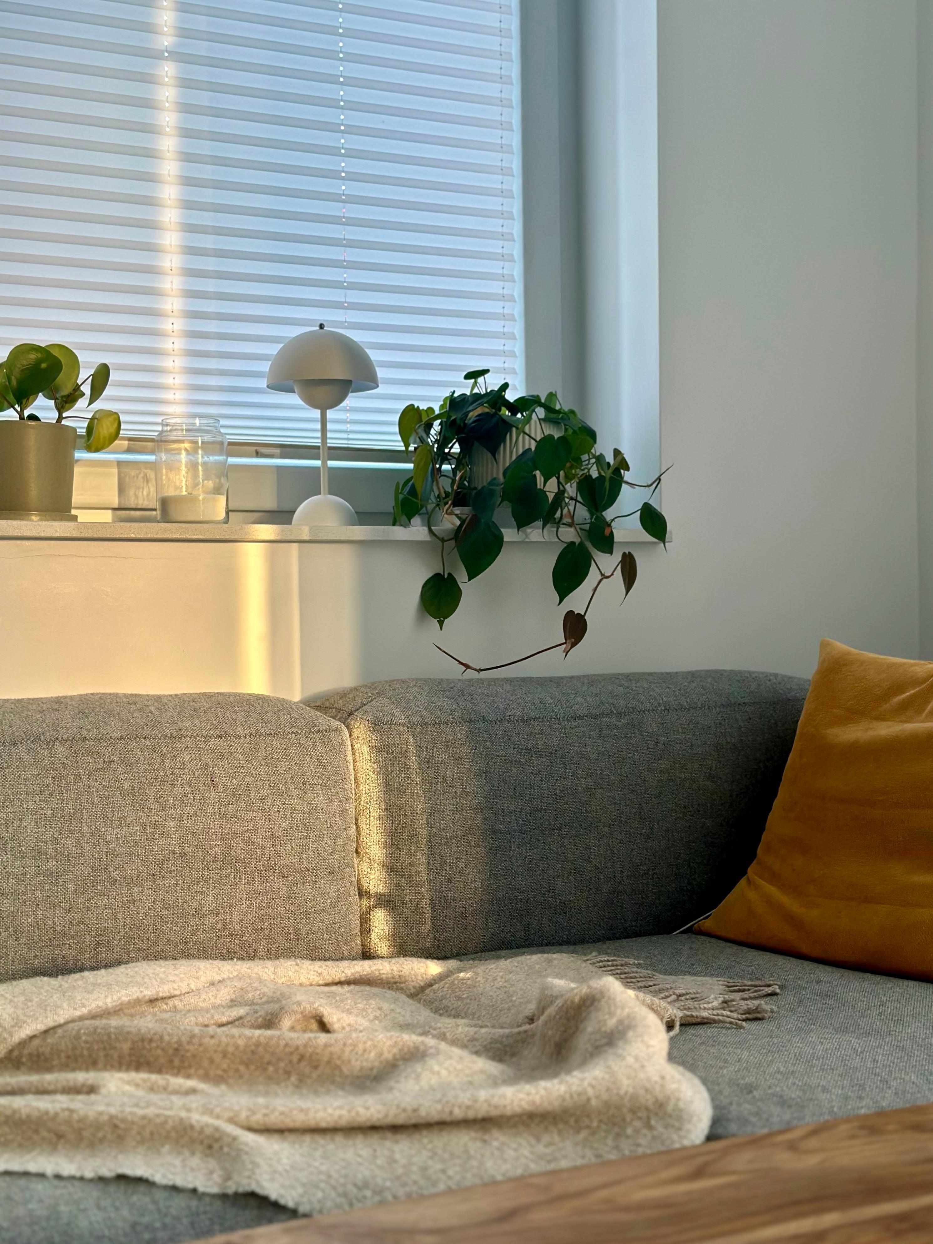 #wohnzimmer #sofa #couchliebt #nordicdesign #wolldecke #fensterbank #dekoideen #pflanzen #leuchte #lampe 