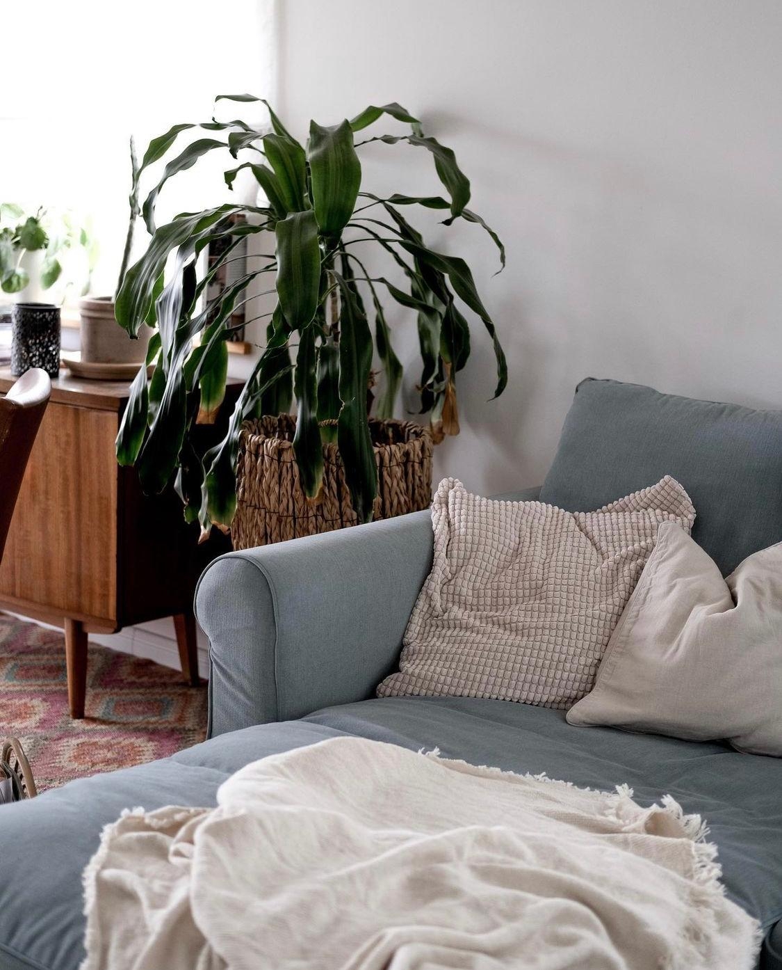 #wohnzimmer #sofa #cozy #couchliebt #couchstyle