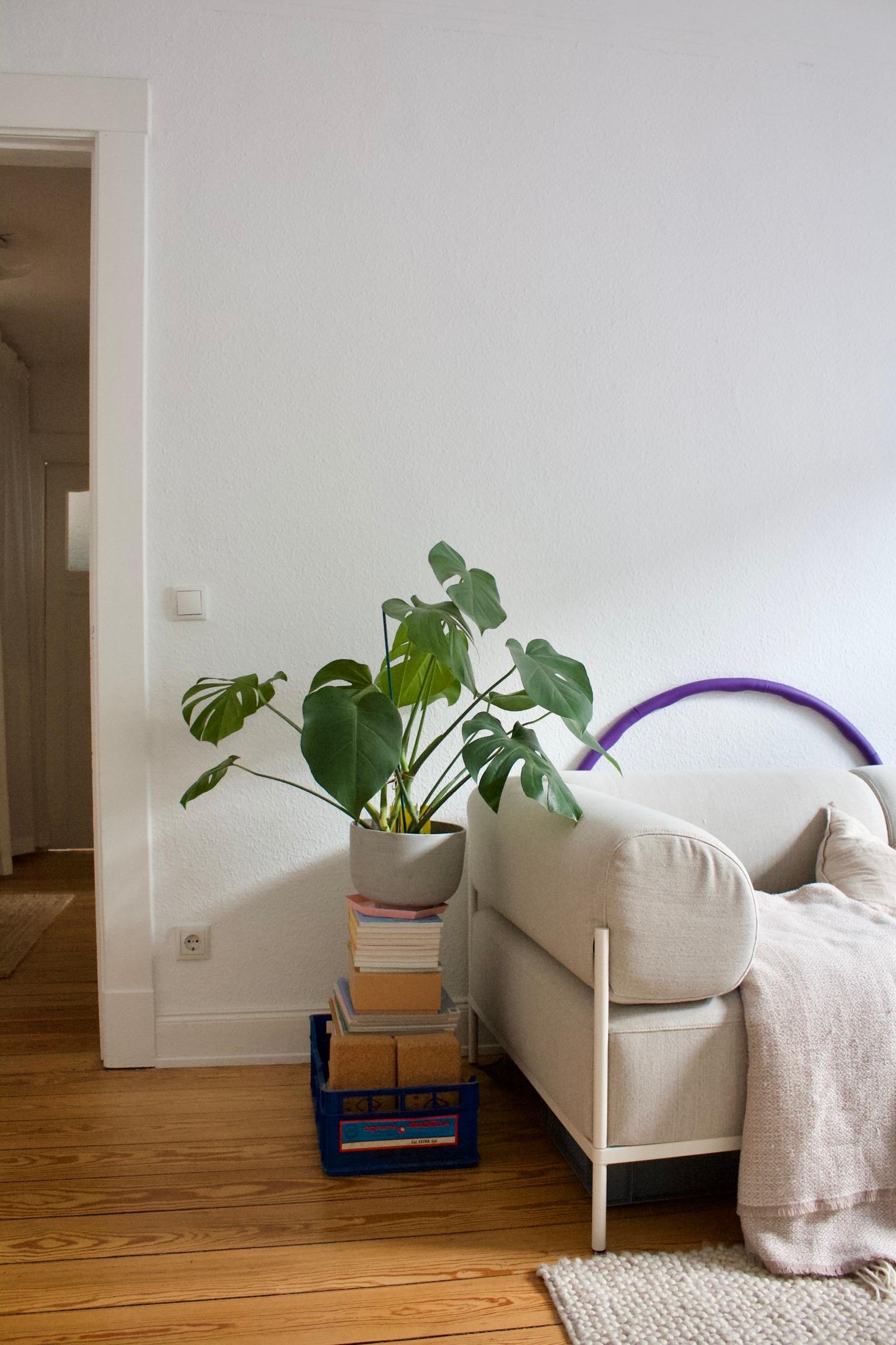 #wohnzimmer #sofa #monstera #pflanzen #magazinstapel 