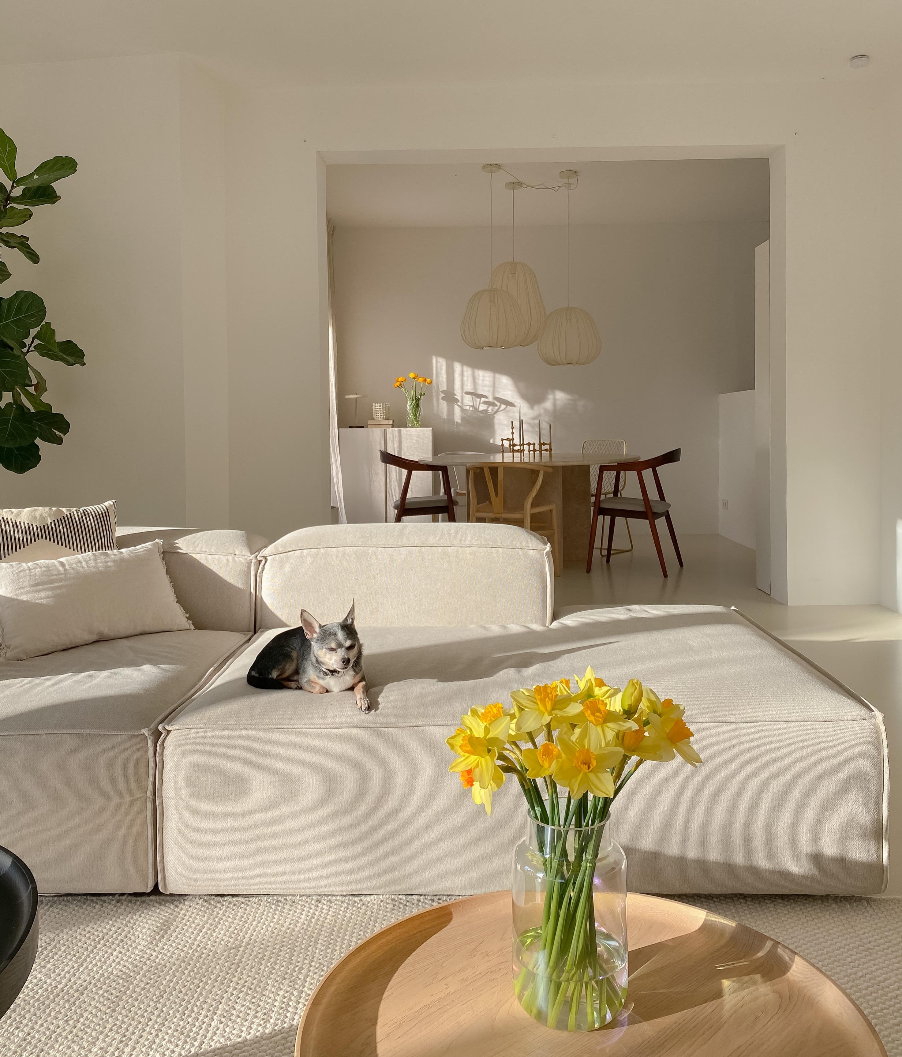 #wohnzimmer #sonnenschein #frühlingsblumen #beigeliving #couch #couchliebt #bungalow #esszimmer 