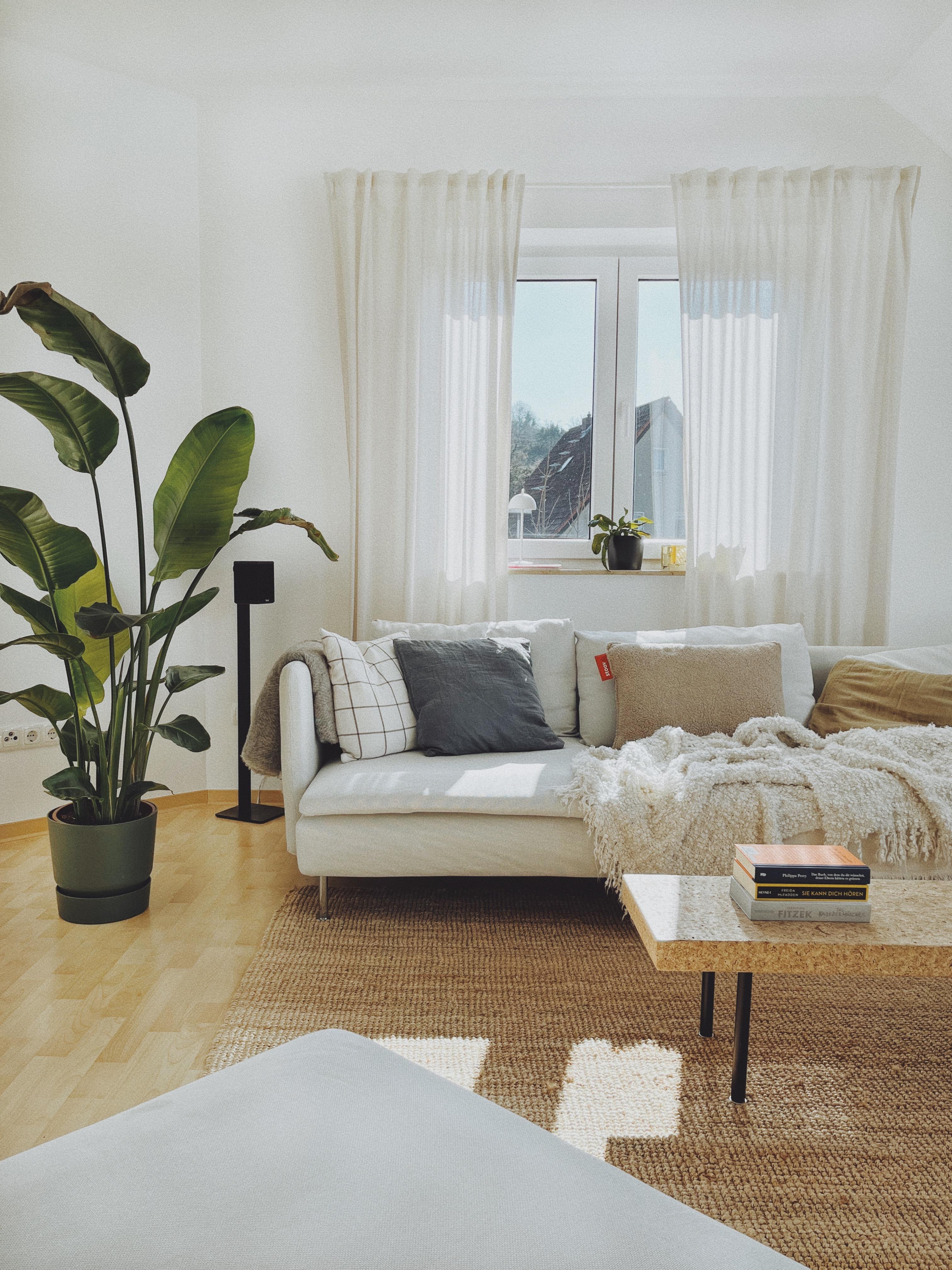 Wohnzimmerliebe - endlich wieder mit Sonne. 🌞 #wohnzimmer #livingroom #interior #couch #strelitzia #plant #sun #frühling #ikea #söderhamn #lohals