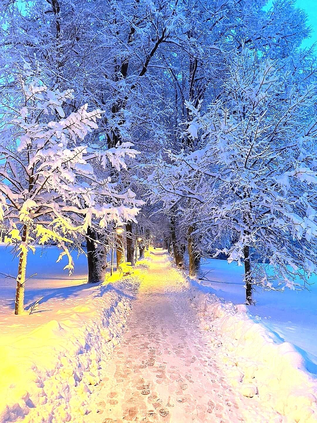 Wunderschöne Wintermomente....
#snow
#Winter 
#wintwrwunderland
#naturliebe 