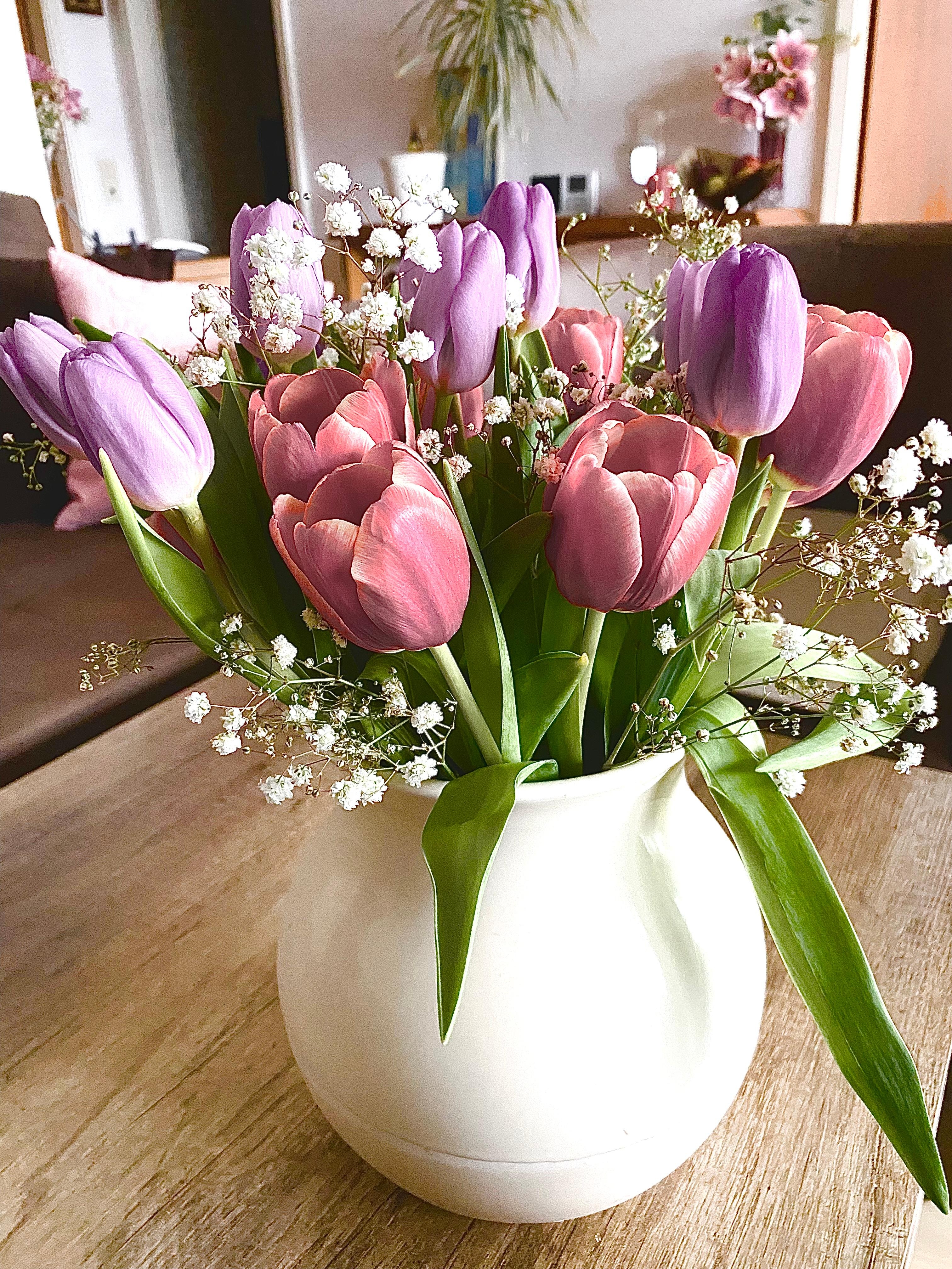 Wustet ihr, dass ein bunter Tulpenstrauss  Optimismus und Fröhlichkeit bedeutet?
#freundin #besuch #tulpen #geschenk #wohnzimmer