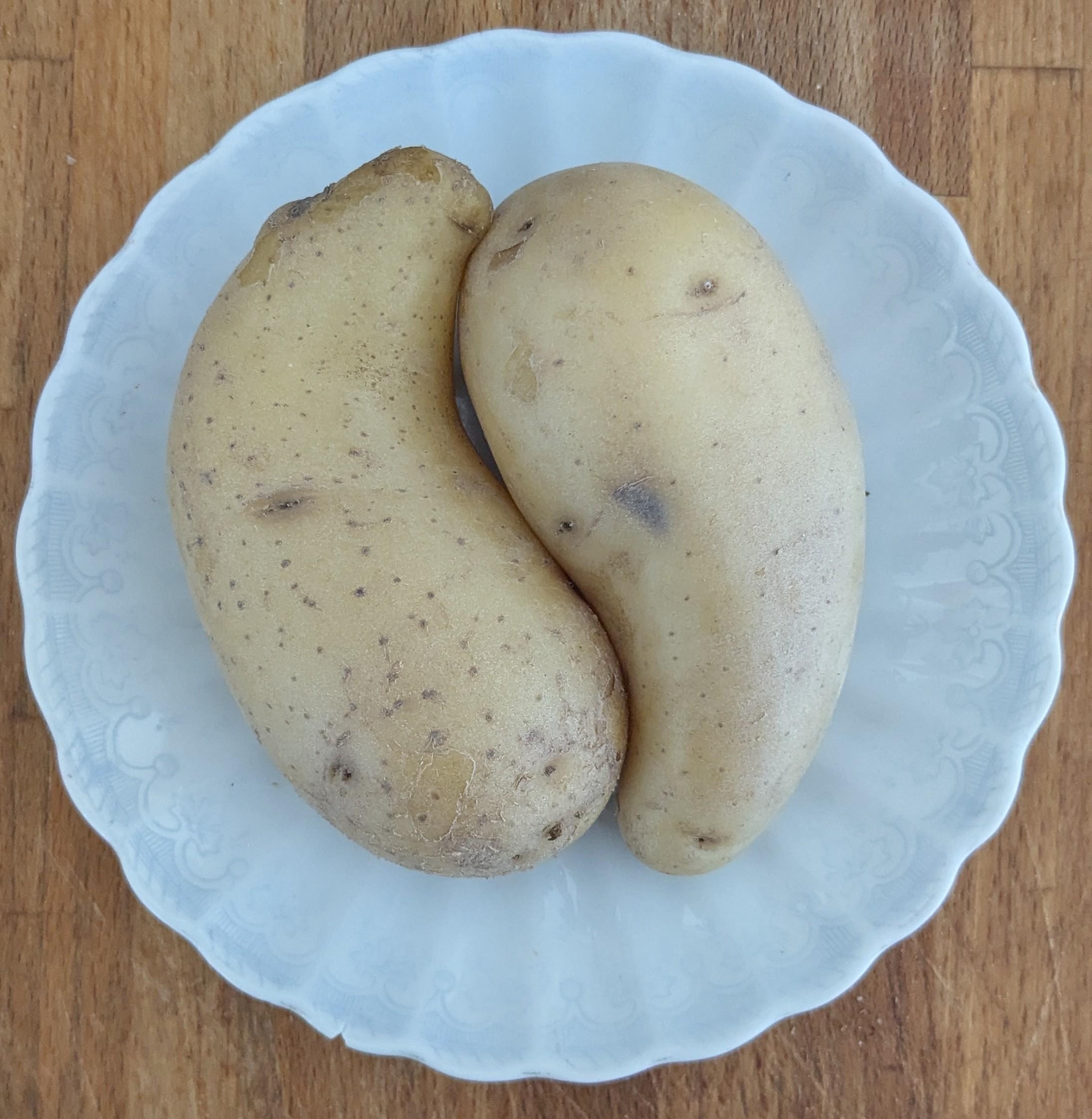 Yin und Yan in der Küche 