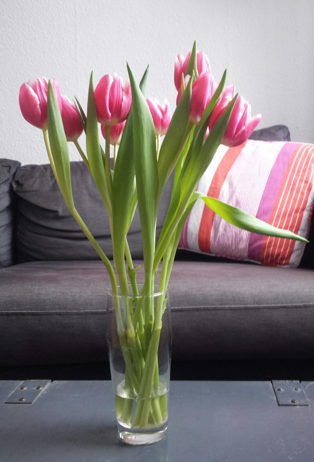 Zeit für Frühlingsgefühle #tulpen #blumen #blumenliebe #frühling #vase 