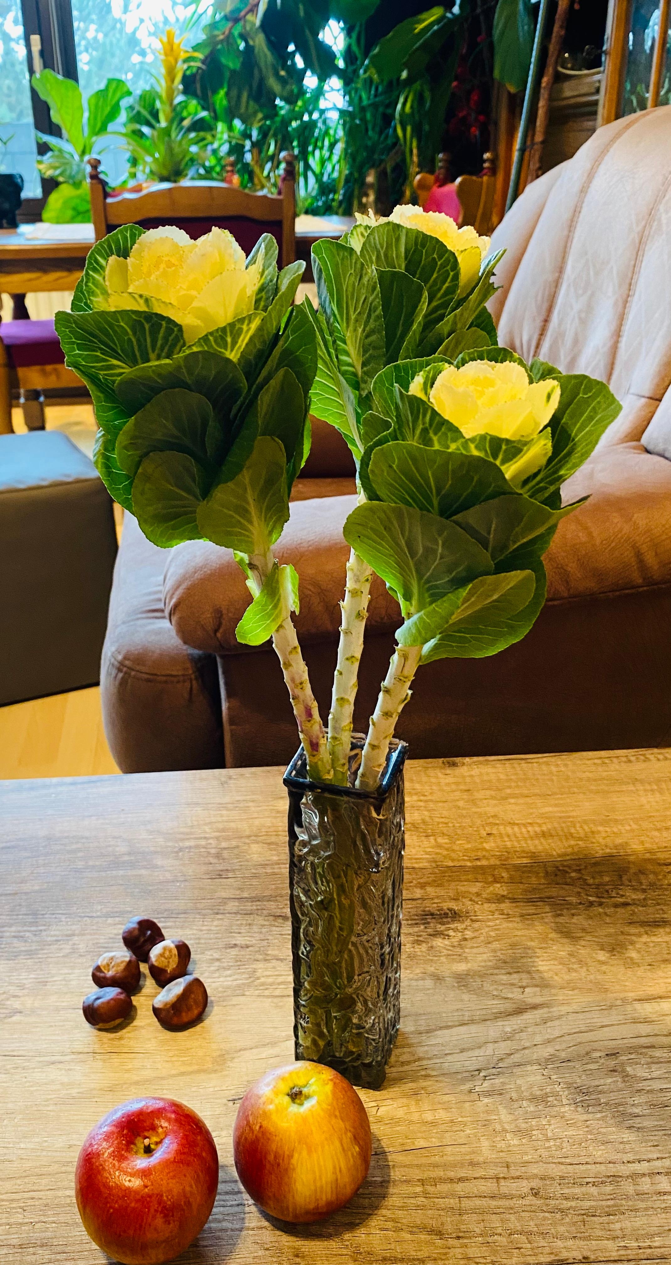 Zierkohl - Brassica
#zierkohl #pflanzenliebe #wohnzimmer #esszimmer #herbstblume #herbstdeko