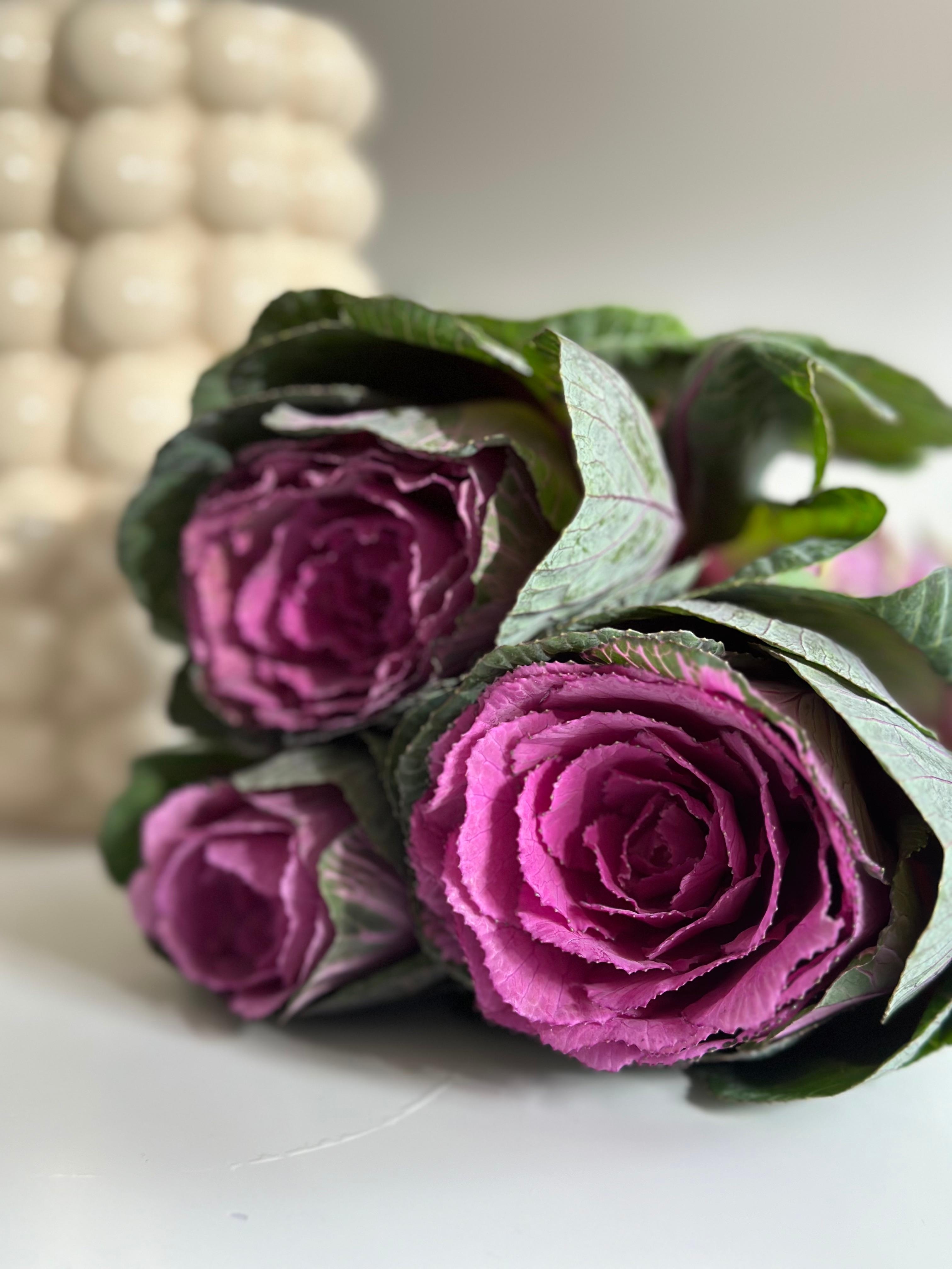 Zierkraut - die etwas andere Herbstblume - für mich aber ein Highlight in der Blumenvase 
#blumem #blumendeko #zierkraut #herbstdeko 