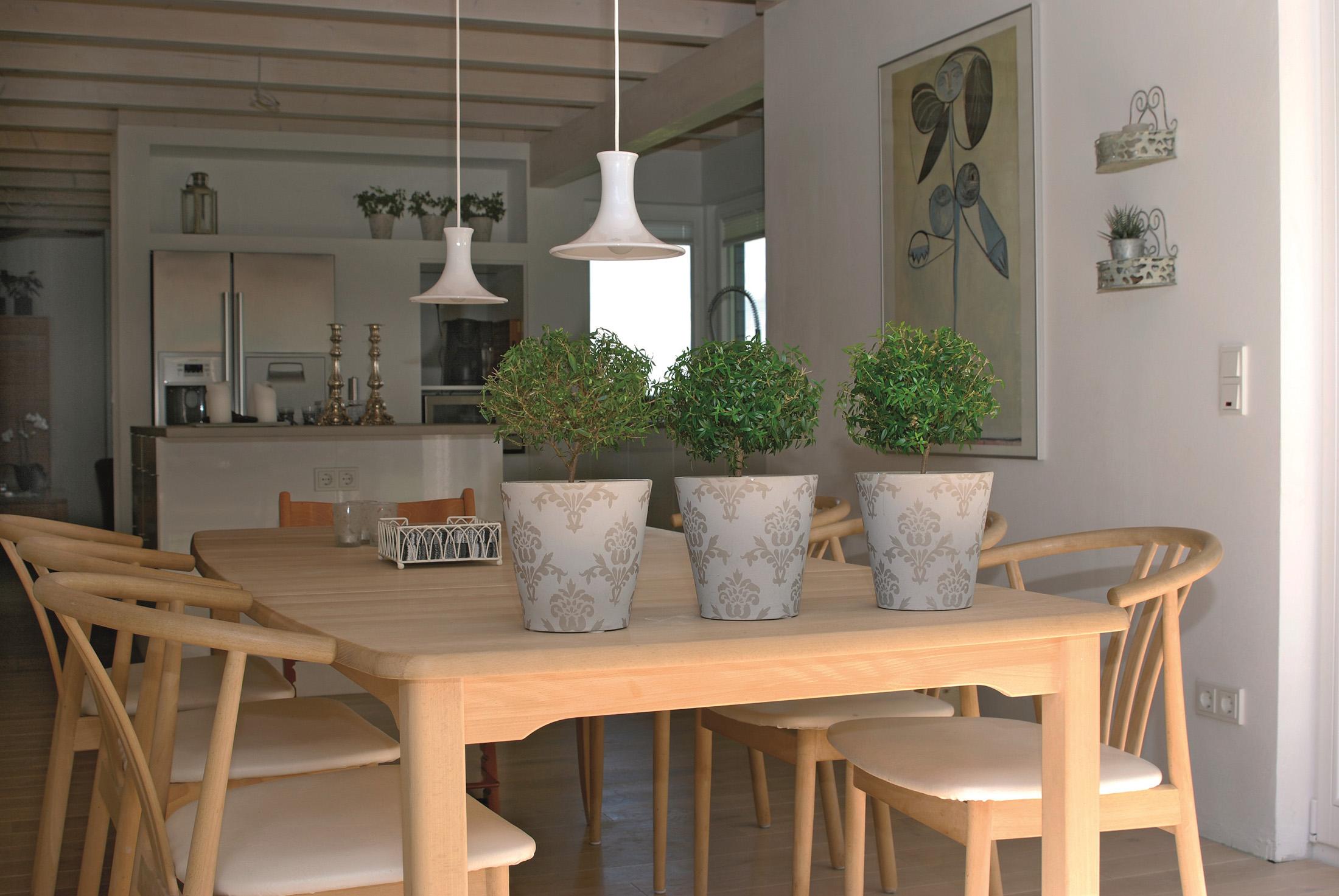 Zimmerpflanzen im Wohnbereich #zimmerpflanze ©Stommel Haus