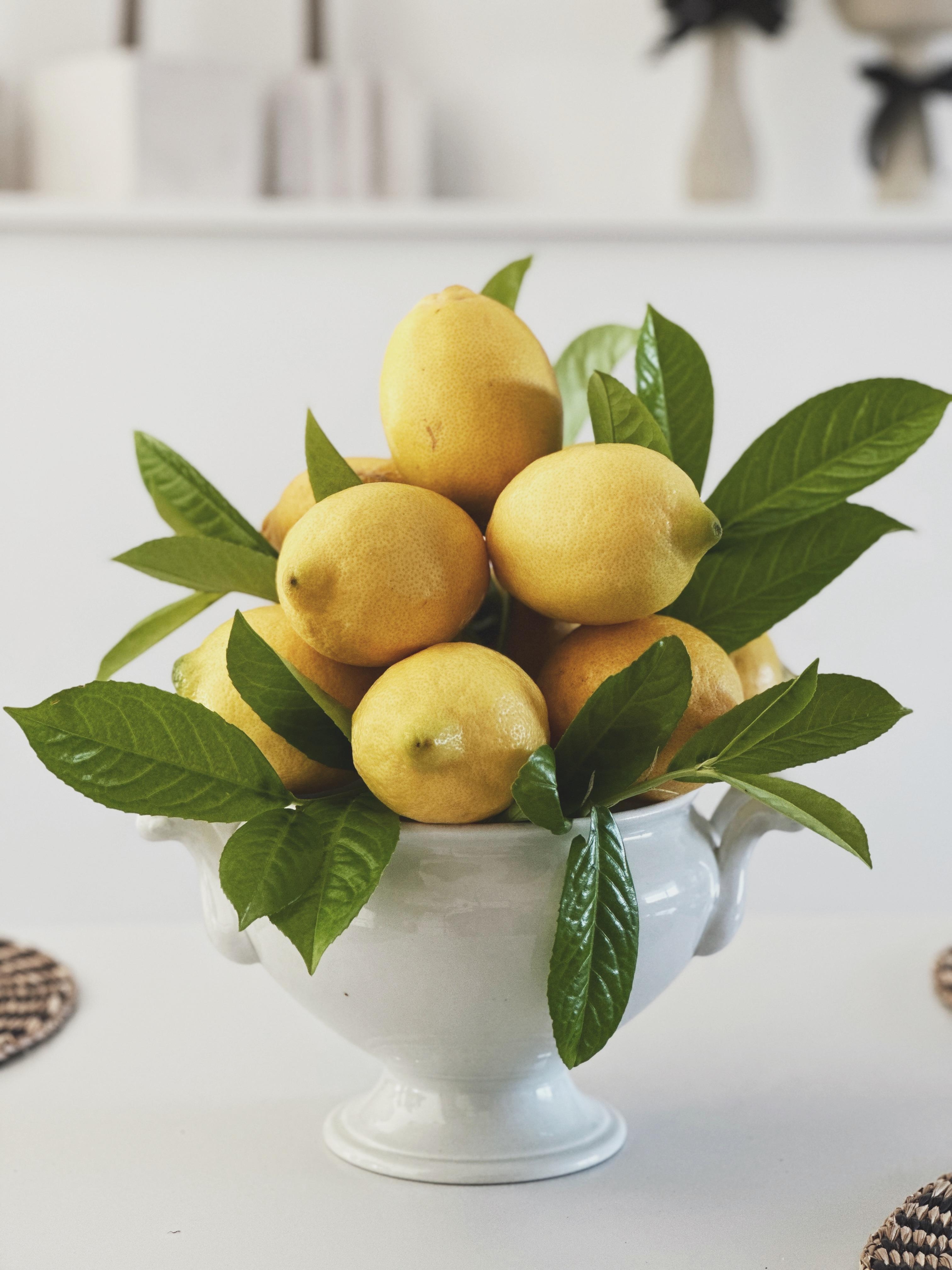 Zitronen olé 🍋🍋🍋 DIY Zitronen Centerpiece für In- und Outdoor #sommerdeko #zitronendeko #diy #naturdeko #diyidee #zitronen #inspiration #tischdeko