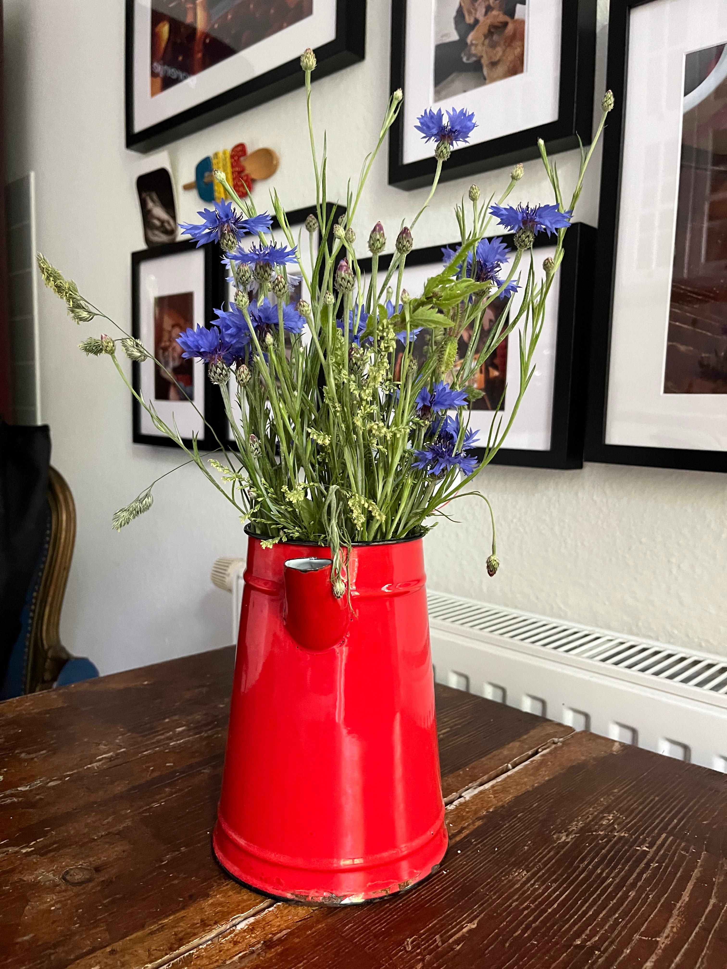 Zum Freitag ein schlichtes Sträußlein #kornblumen #vase #kanne #weißeküche #landhausküche #wohnküche #kleineküche #küche
