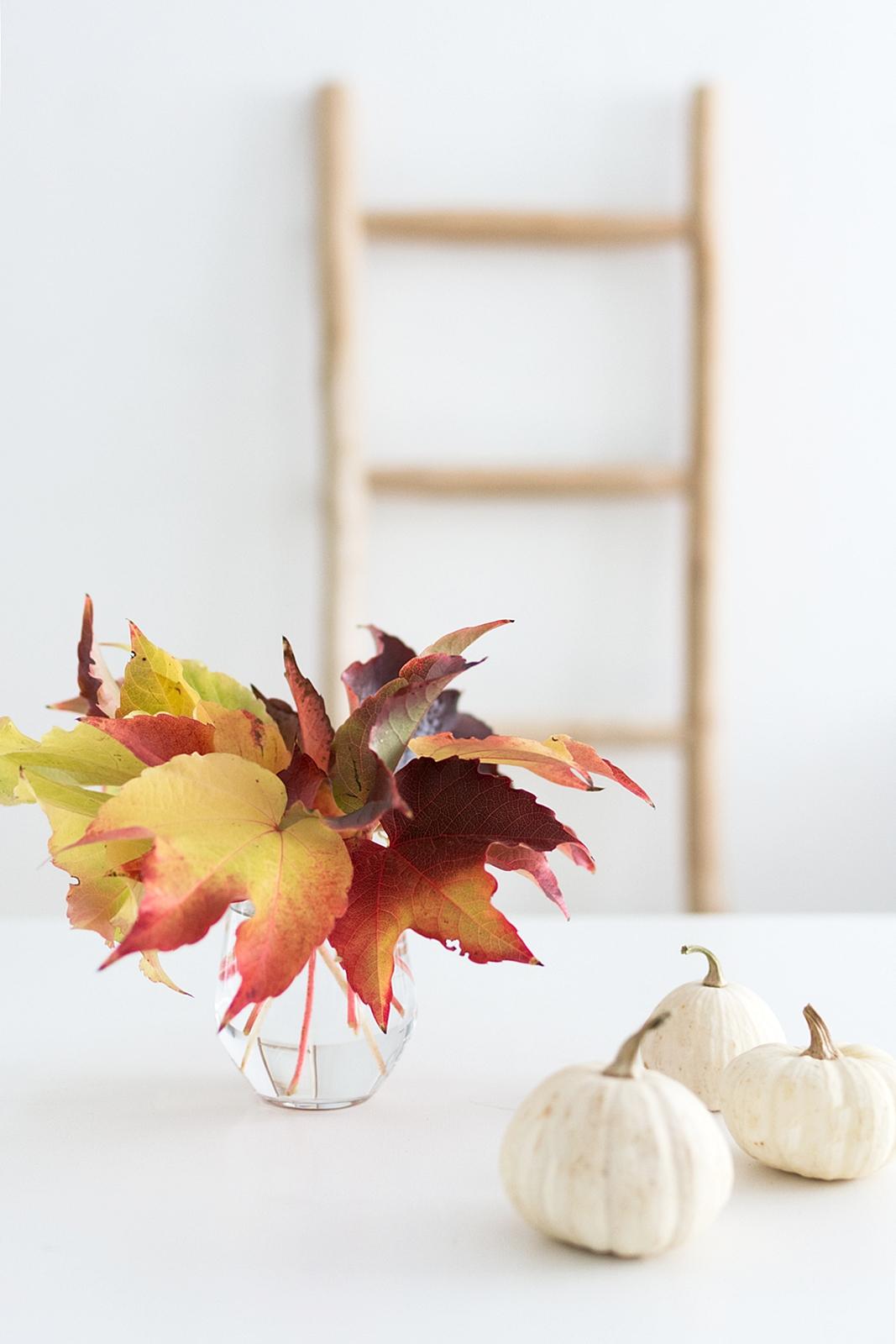 Zum Wochenstart ein feuriger Farbenrausch mit Herbstblättern 🍂🍁
#herbstfarben #interior #herbstdeko #kürbis