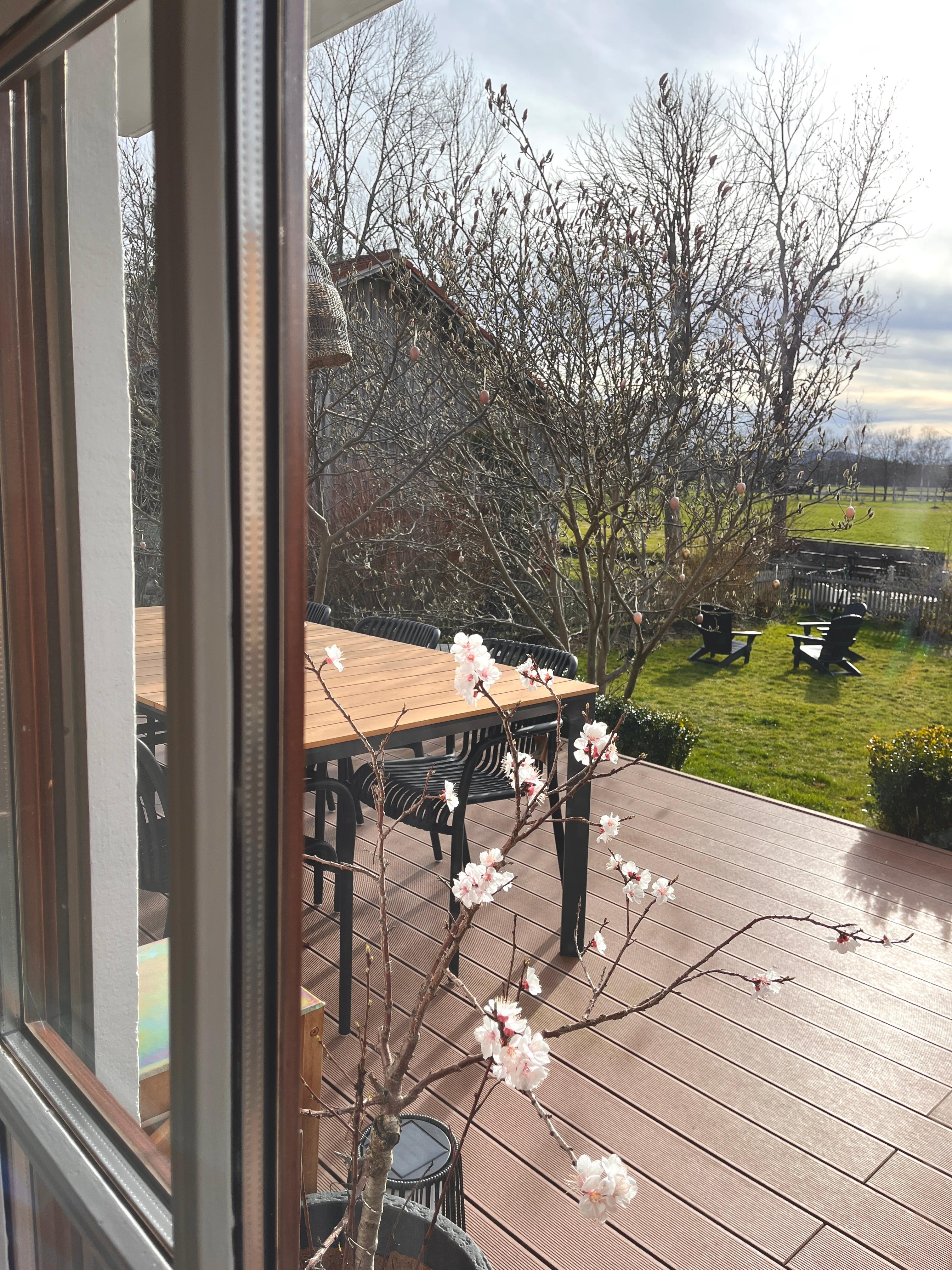 Zurück aus dem Winterschlaf 🌸
#terrasse#garten#adirondacks#magnolie#derfrühlingkommt#pfirsichblüte#landleben#outdoorliving#hausambach