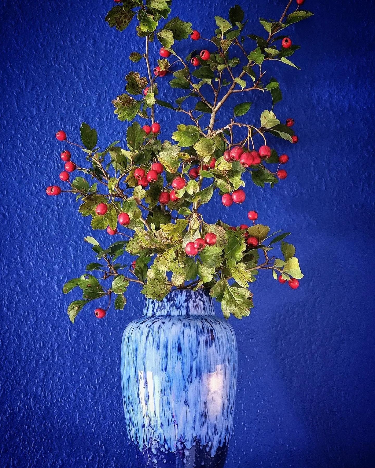 #Zweig in der #Vintage #Vase anstatt #Blumen #Herbstzeit #Natur in der #Küche #Colorfulhome #Herbstdeko #Kobaltblau 💙 